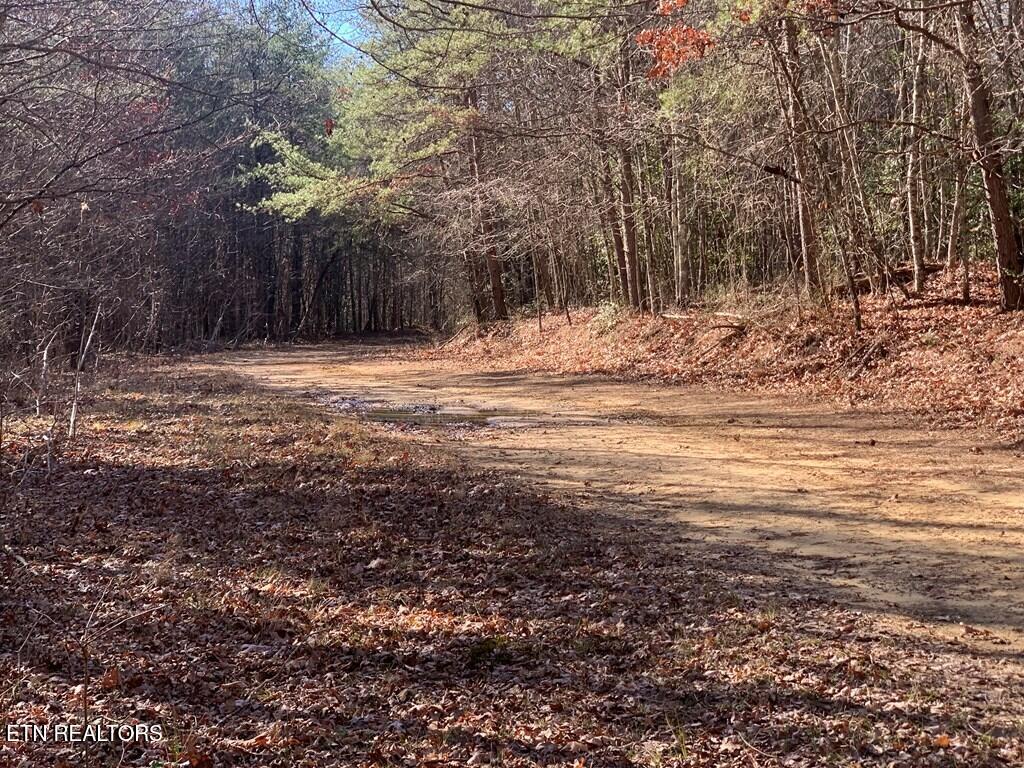 Tract 2 Lone Wolf Trail Spencer TN 38585