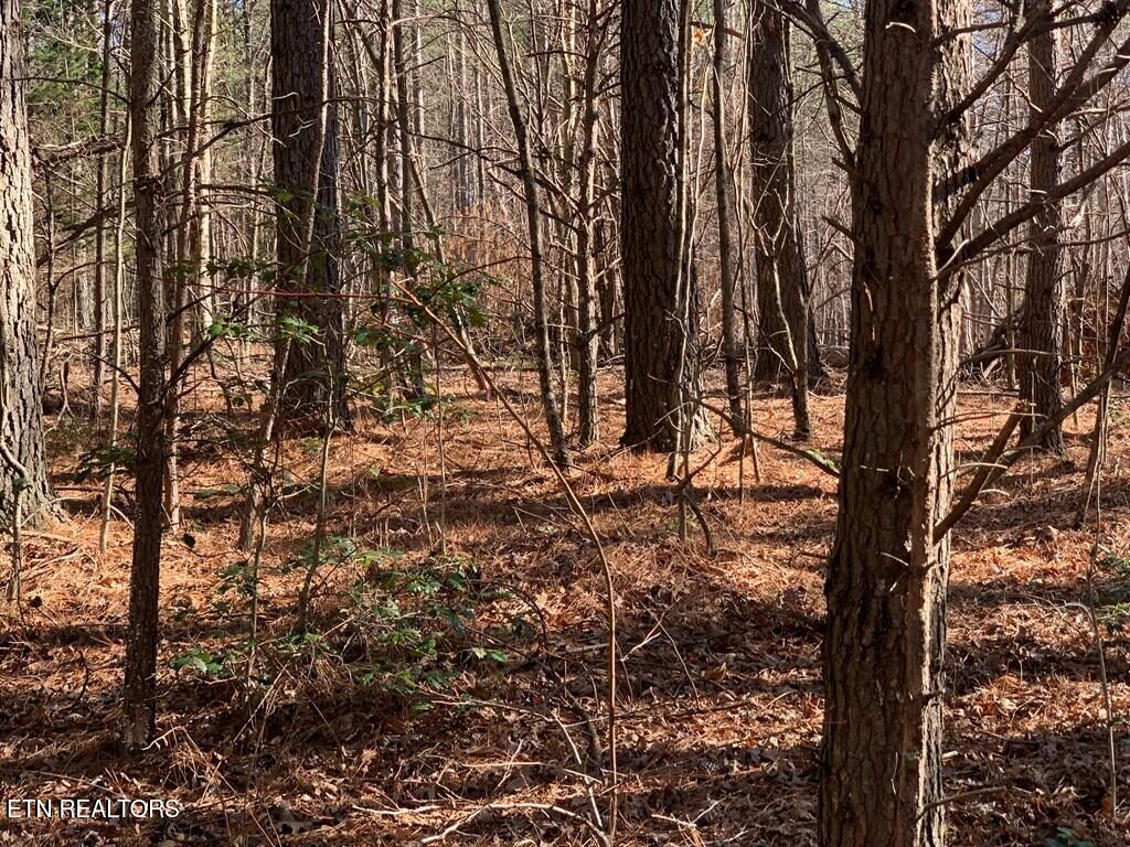Tract 2 Lone Wolf Trail Spencer TN 38585