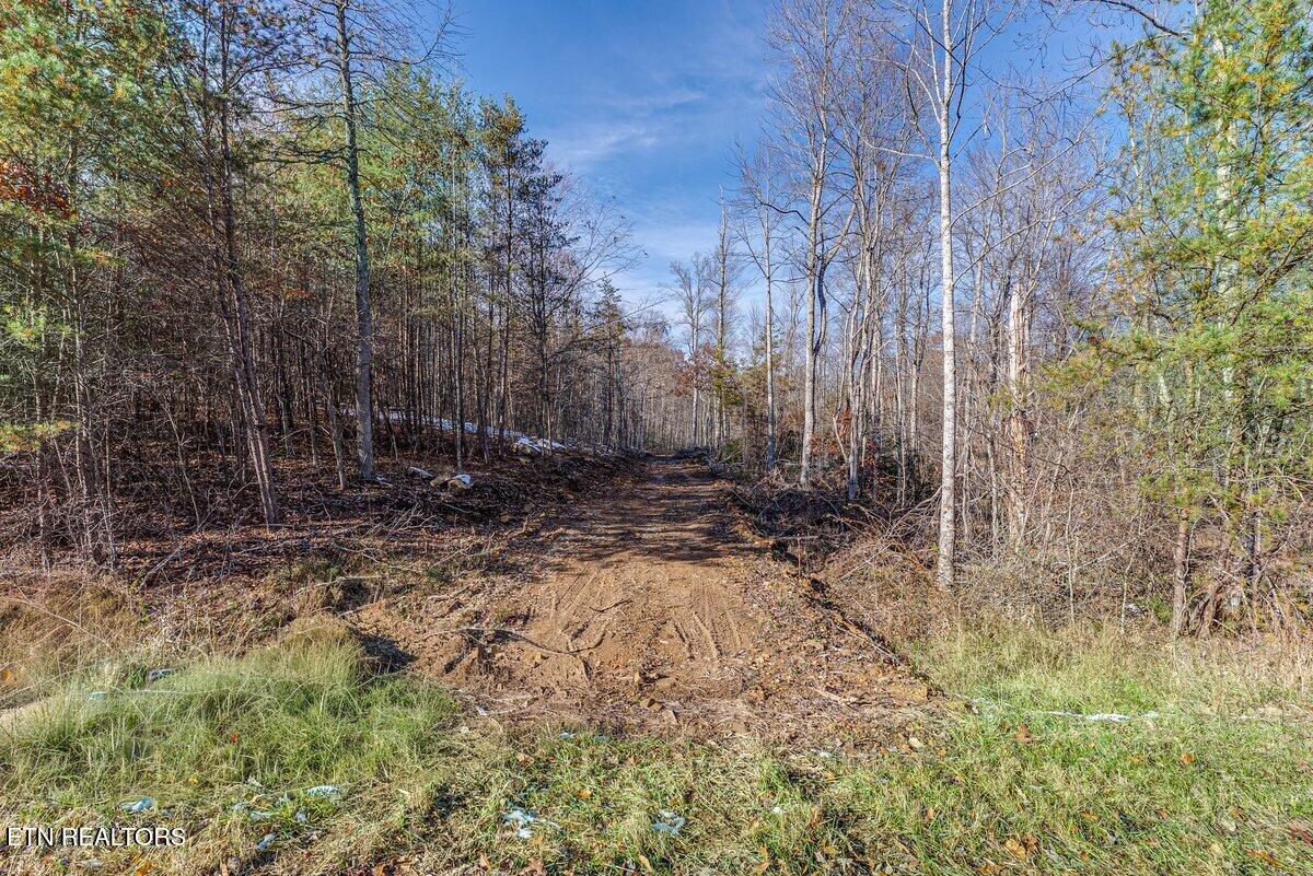 608 Belmont Drive Monterey TN 38574