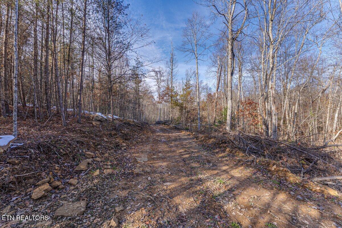 608 Belmont Drive Monterey TN 38574
