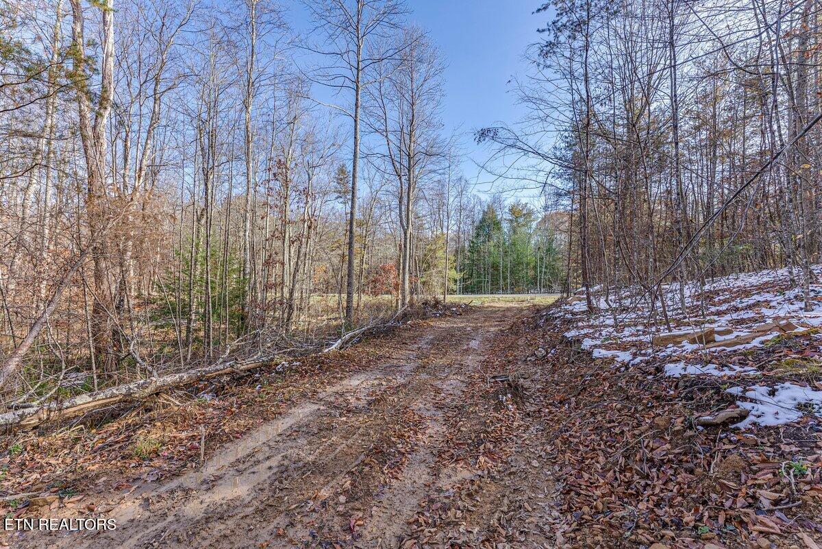 608 Belmont Drive Monterey TN 38574
