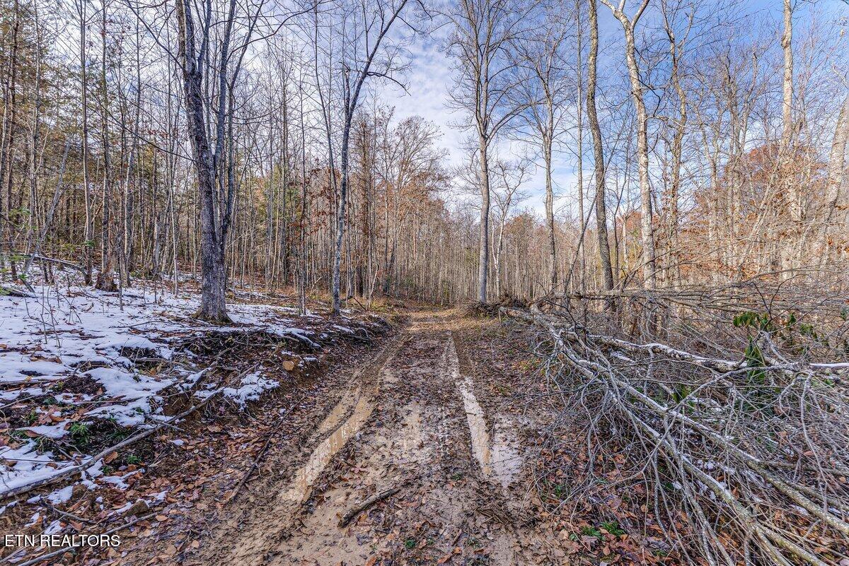 608 Belmont Drive Monterey TN 38574