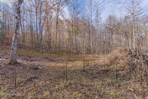 608 Belmont Drive Monterey TN 38574