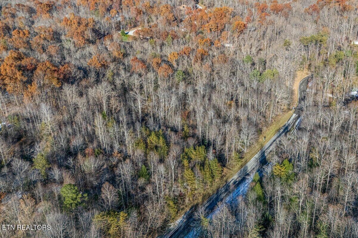 608 Belmont Drive Monterey TN 38574