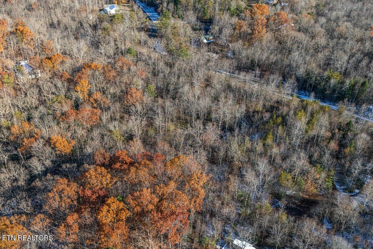 608 Belmont Drive Monterey TN 38574