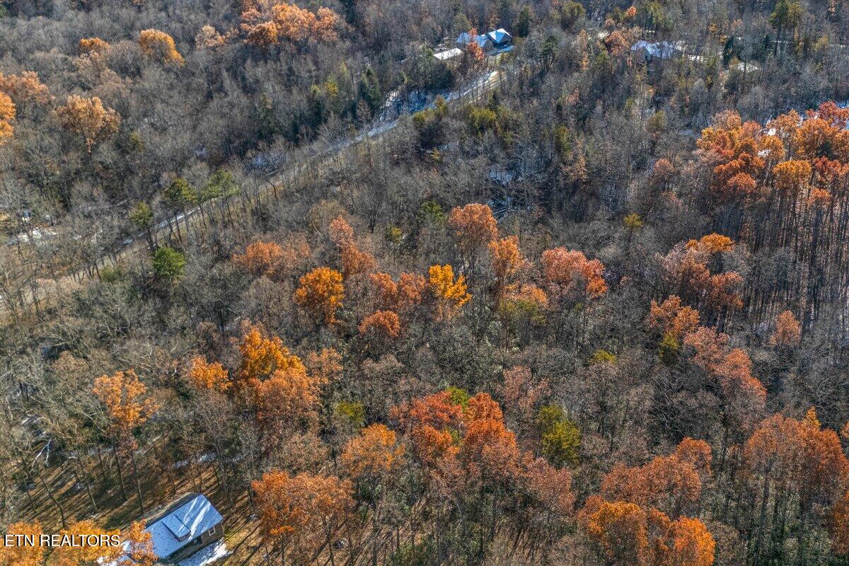 608 Belmont Drive Monterey TN 38574