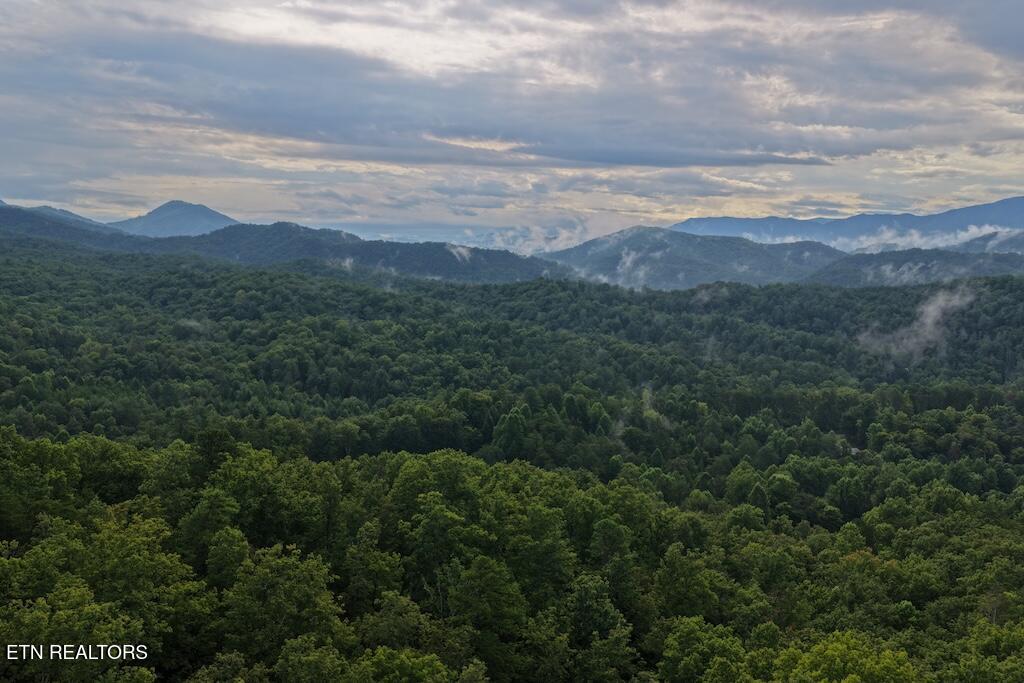 Lot 26 Shady Oaks Way Sevierville TN 37876