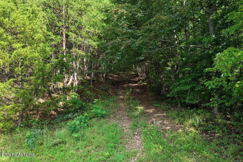 Lot 26 Shady Oaks Way Sevierville TN 37876