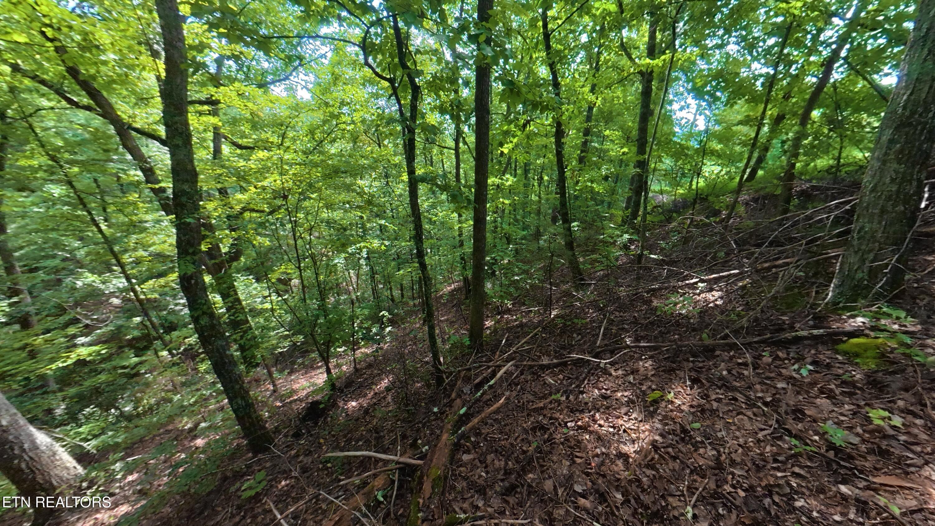 Lot 26 Shady Oaks Way Sevierville TN 37876