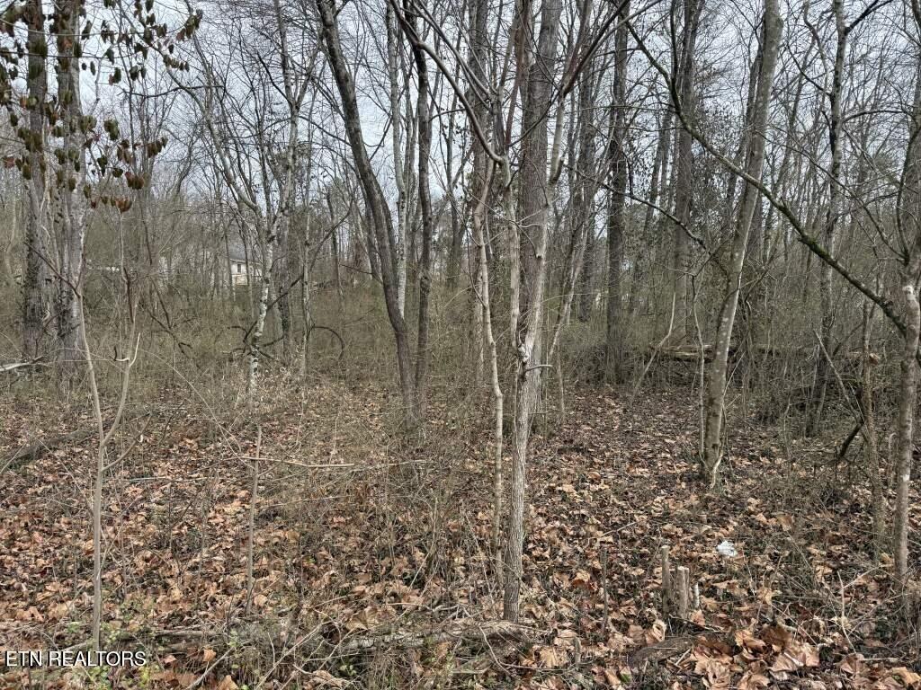 164 Jodys Lane Rockwood TN 37854