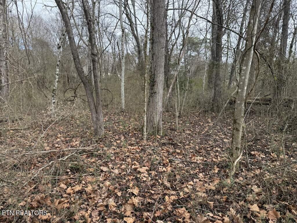 164 Jodys Lane Rockwood TN 37854