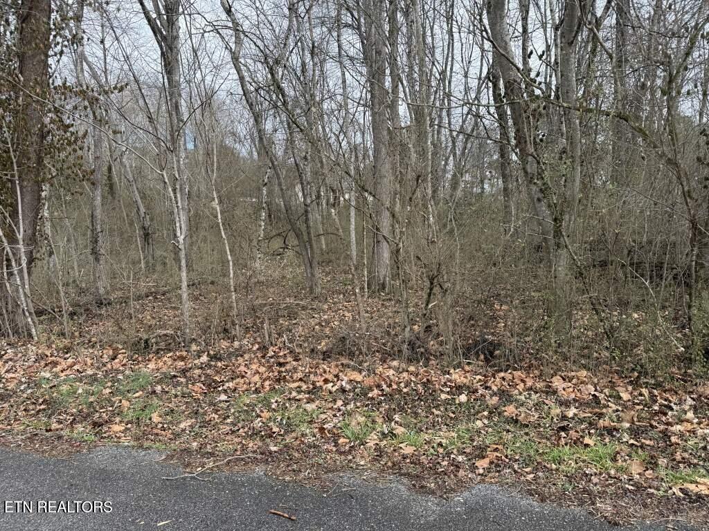 164 Jodys Lane Rockwood TN 37854