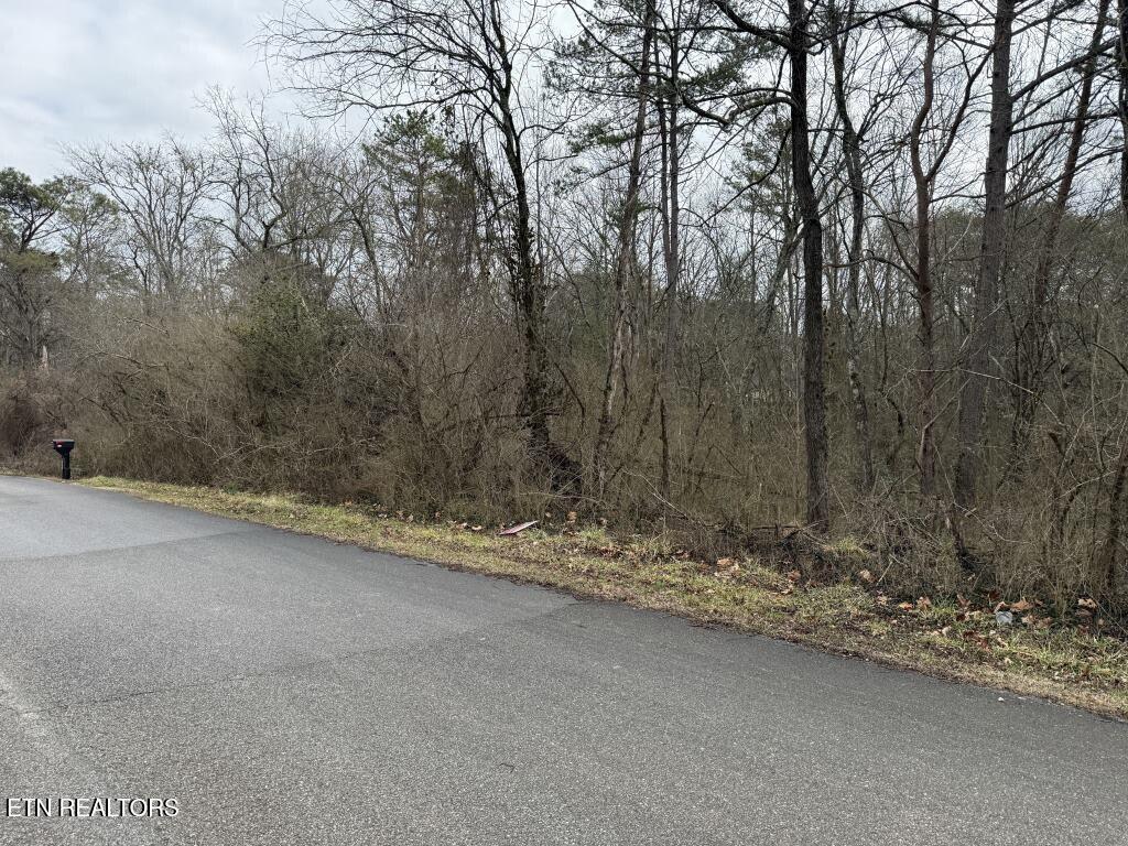 164 Jodys Lane Rockwood TN 37854