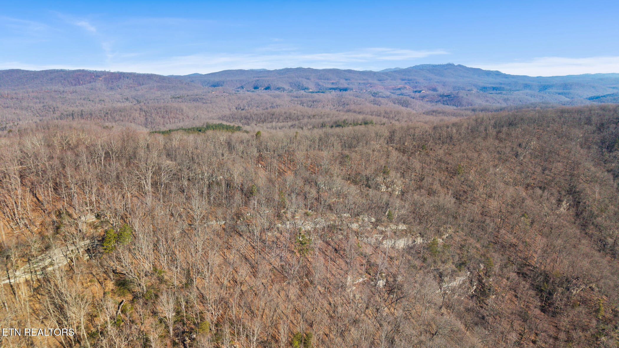 167 Eagle View Lane Jacksboro TN 37757