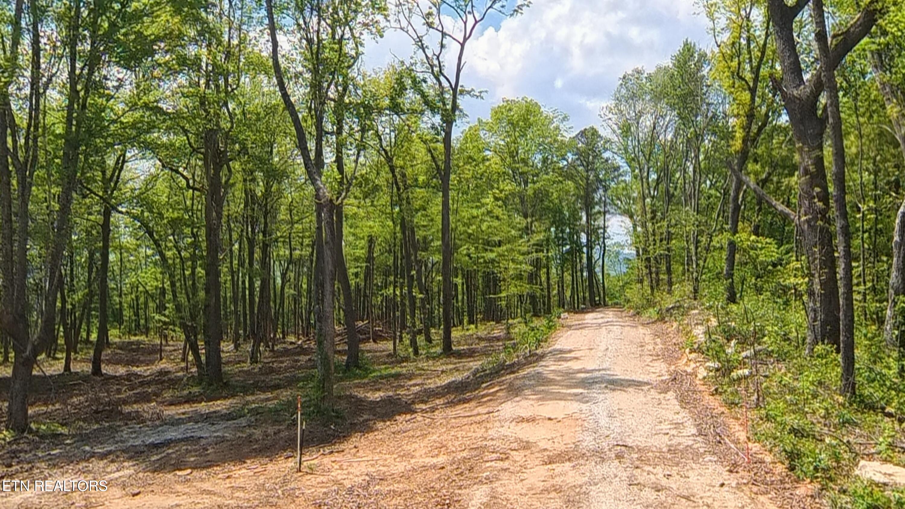 167 Eagle View Lane Jacksboro TN 37757