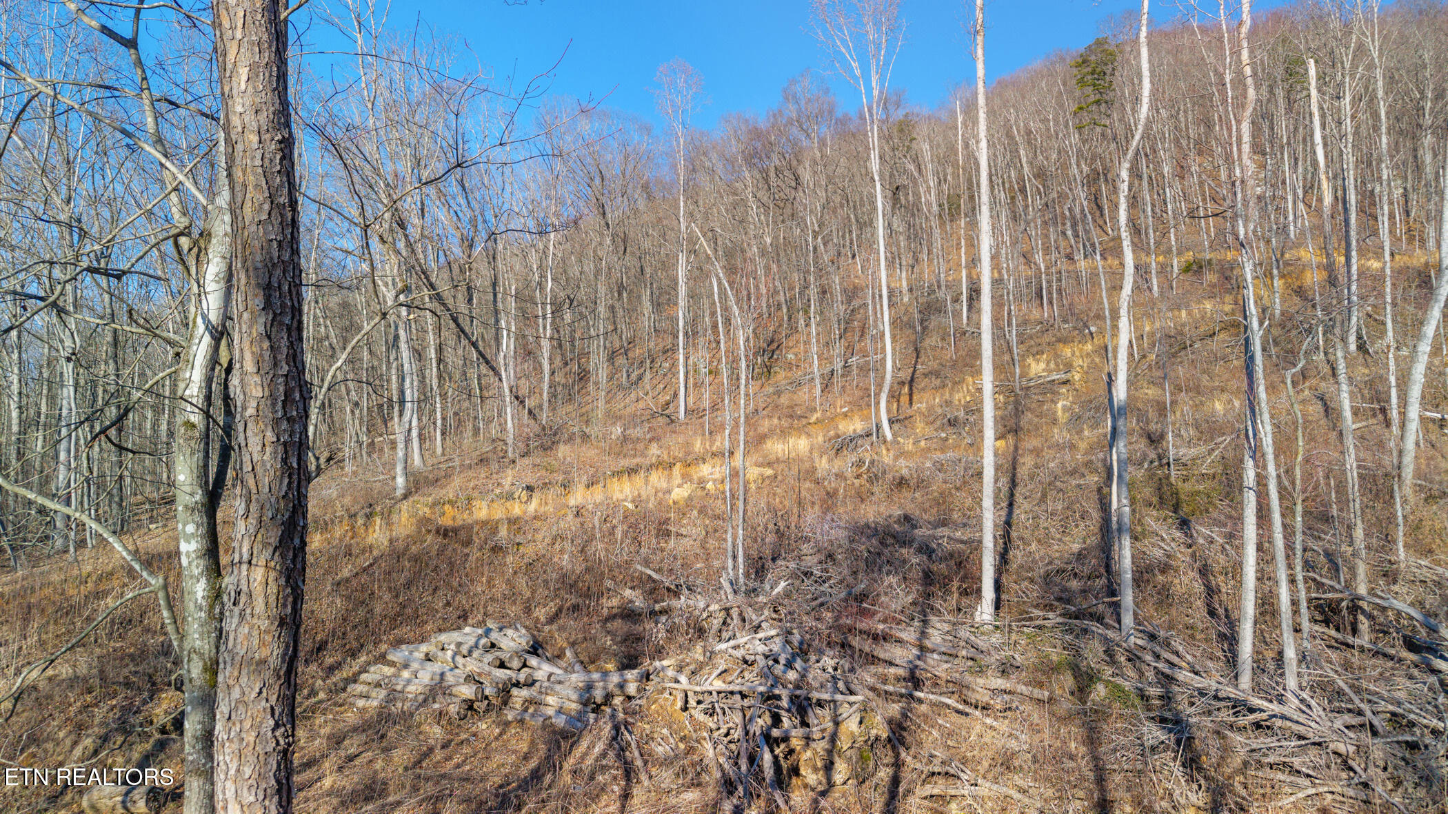 167 Eagle View Lane Jacksboro TN 37757