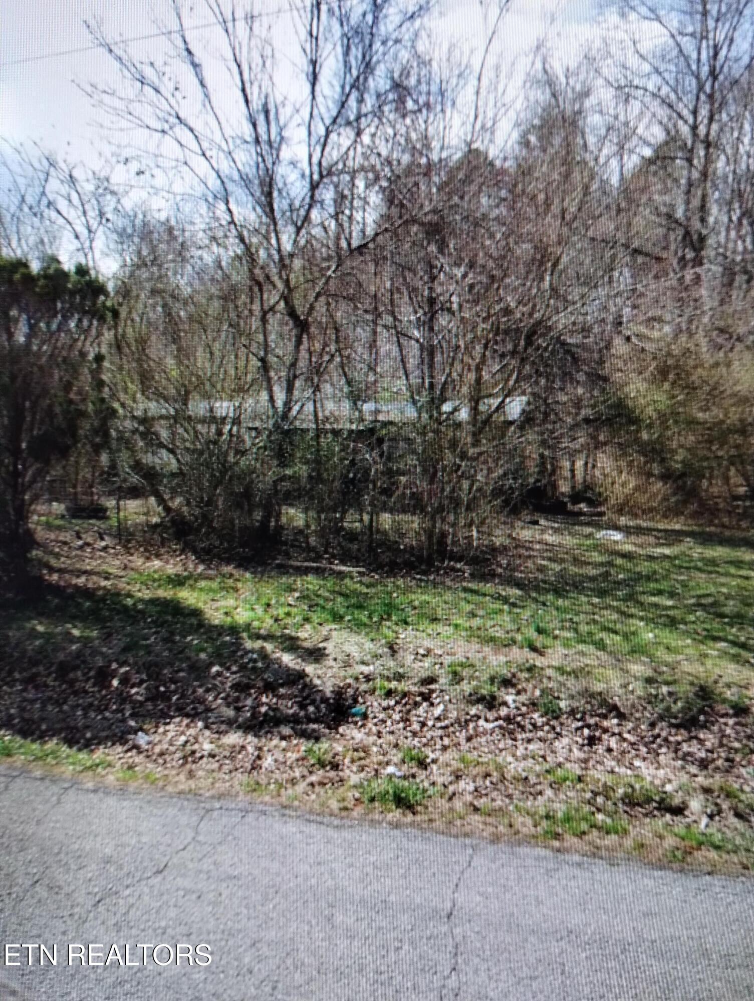 16168 Blue Springs Road Philadelphia TN 37846