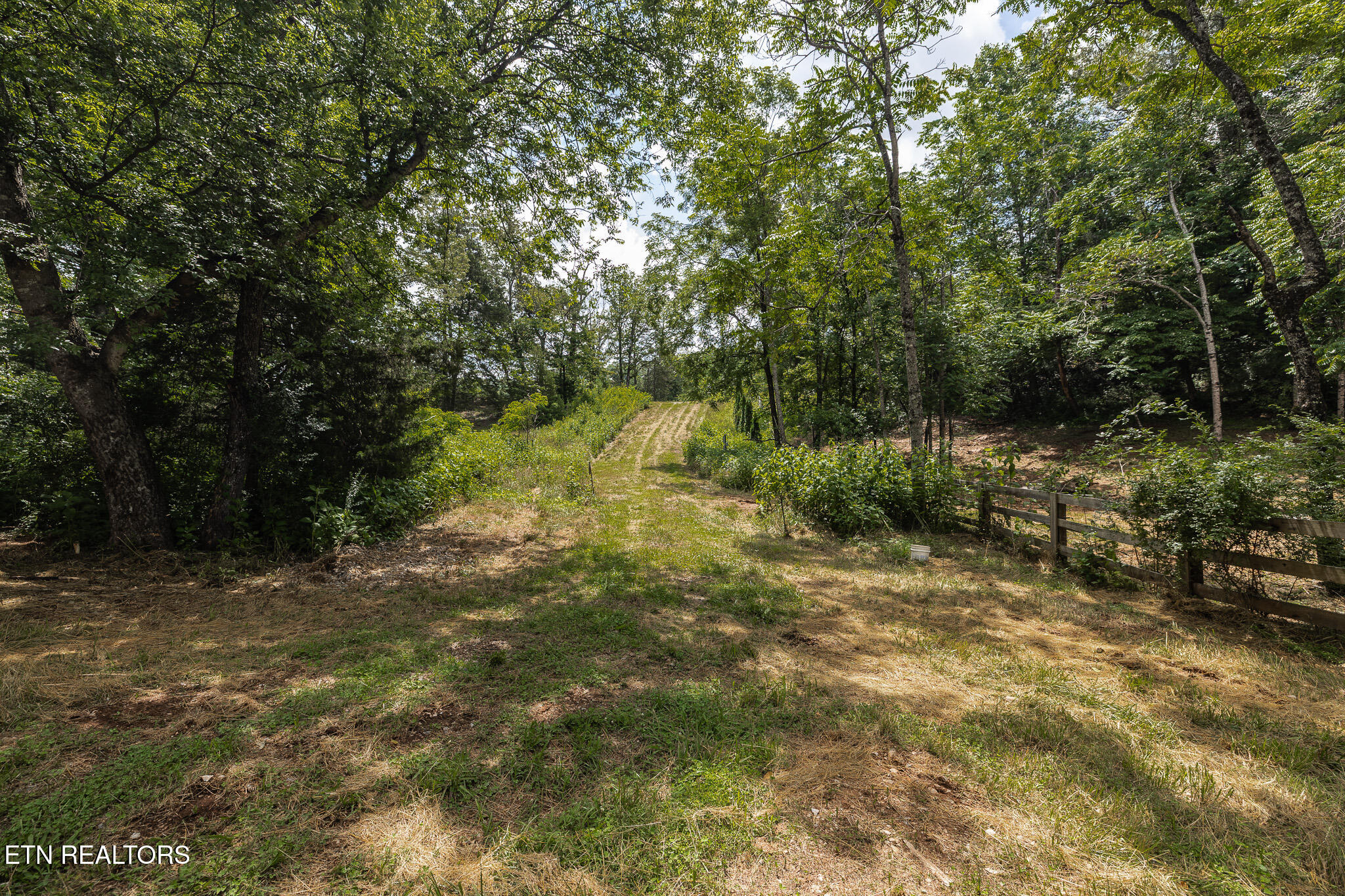 Marble Hill Road (5+ Acres) Friendsville TN 37737