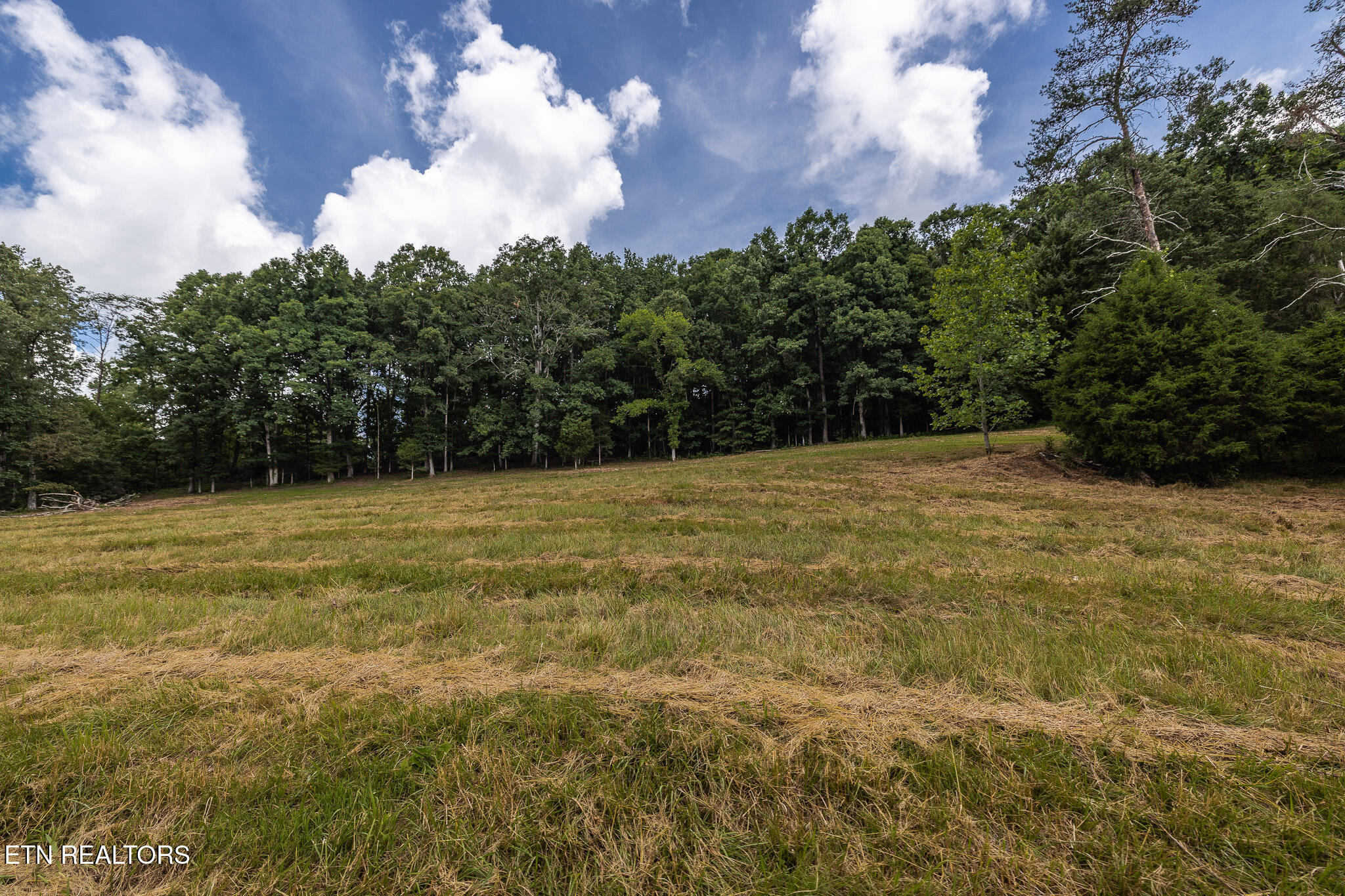 Marble Hill Road (5+ Acres) Friendsville TN 37737