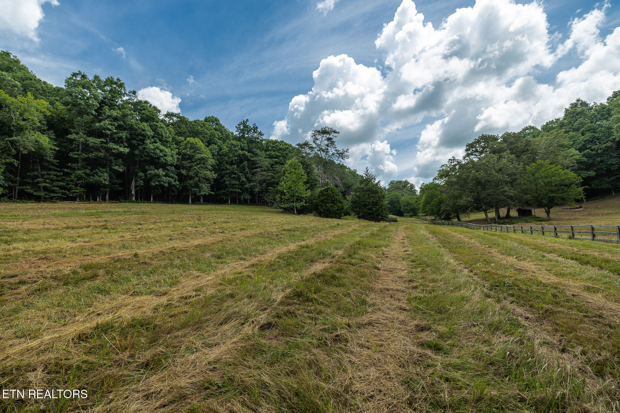 Marble Hill Road (5+ Acres) Friendsville TN 37737