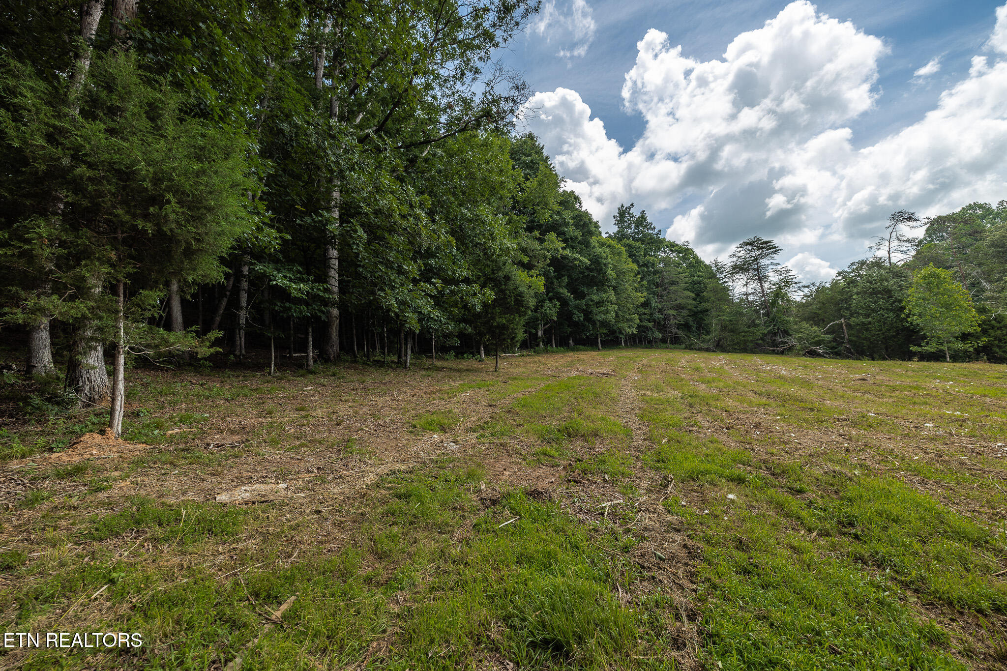 Marble Hill Road (5+ Acres) Friendsville TN 37737