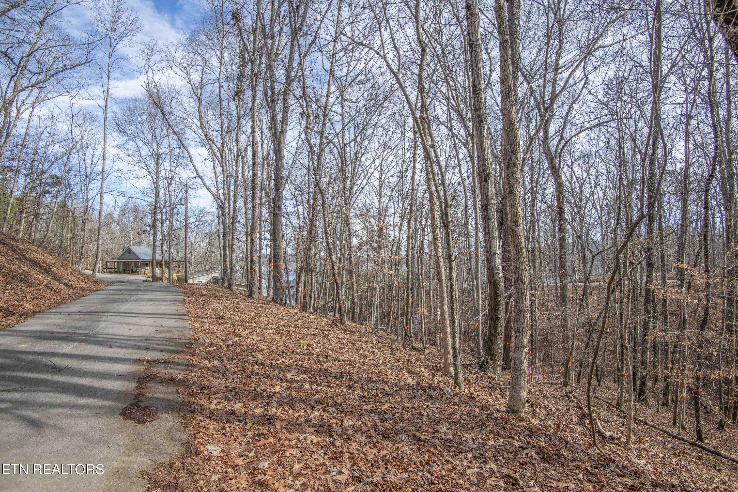 00 Sunset Court Spring City TN 37381