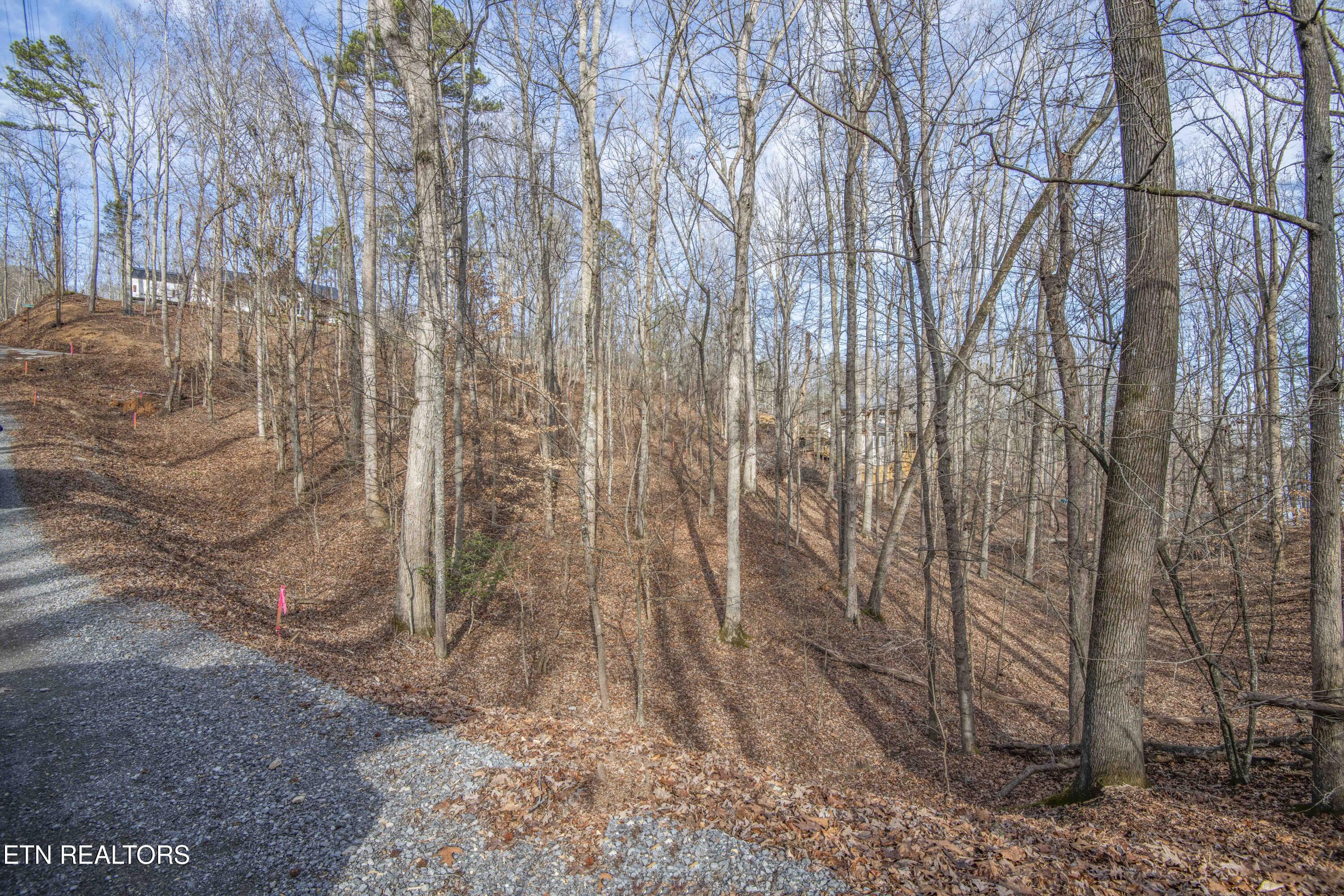 00 Sunset Court Spring City TN 37381