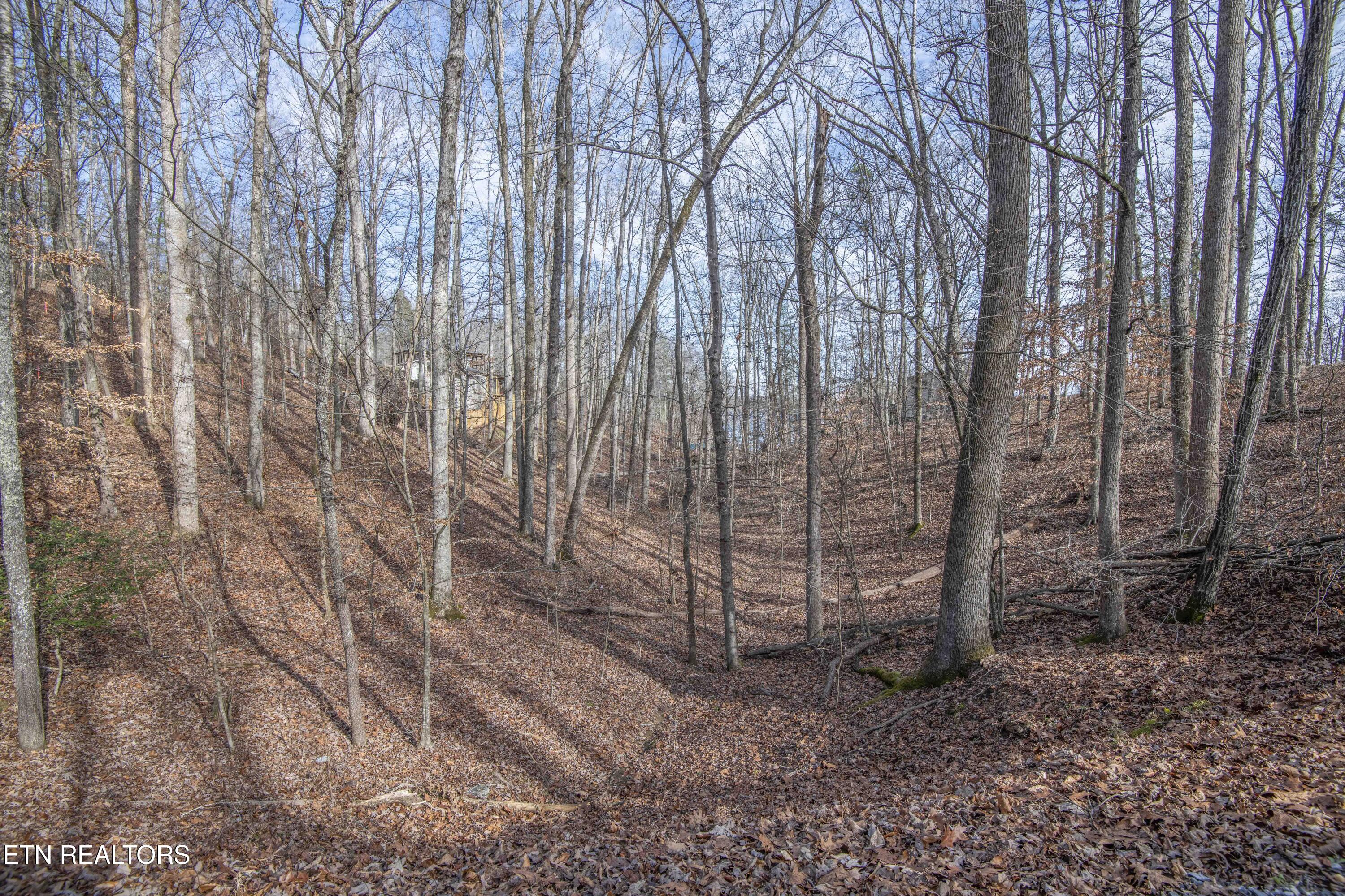 00 Sunset Court Spring City TN 37381
