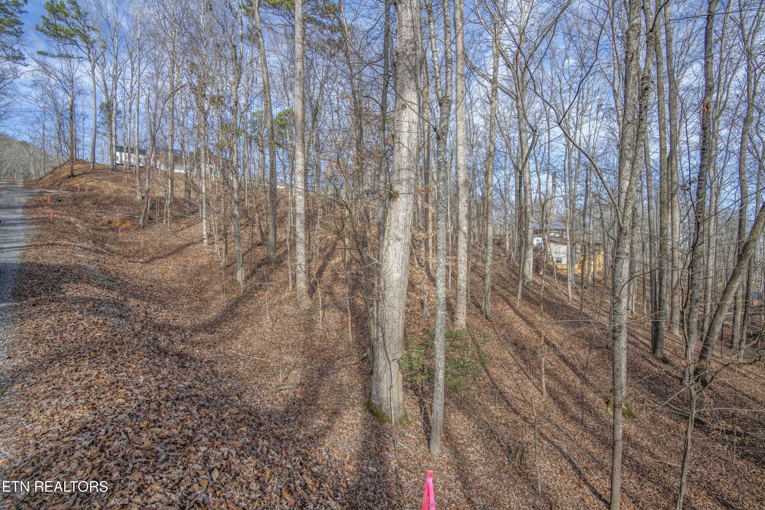 00 Sunset Court Spring City TN 37381