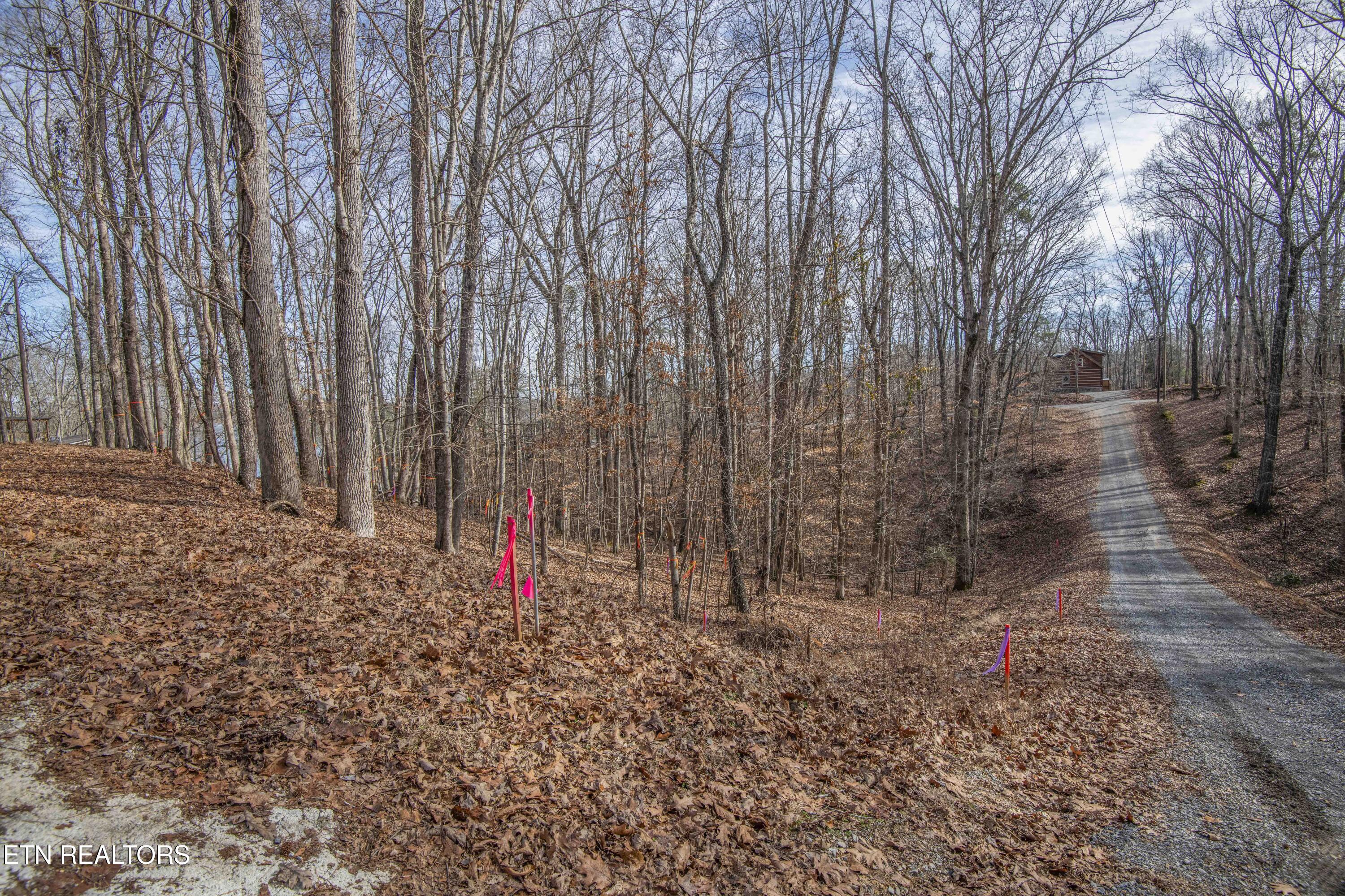 00 Sunset Court Spring City TN 37381