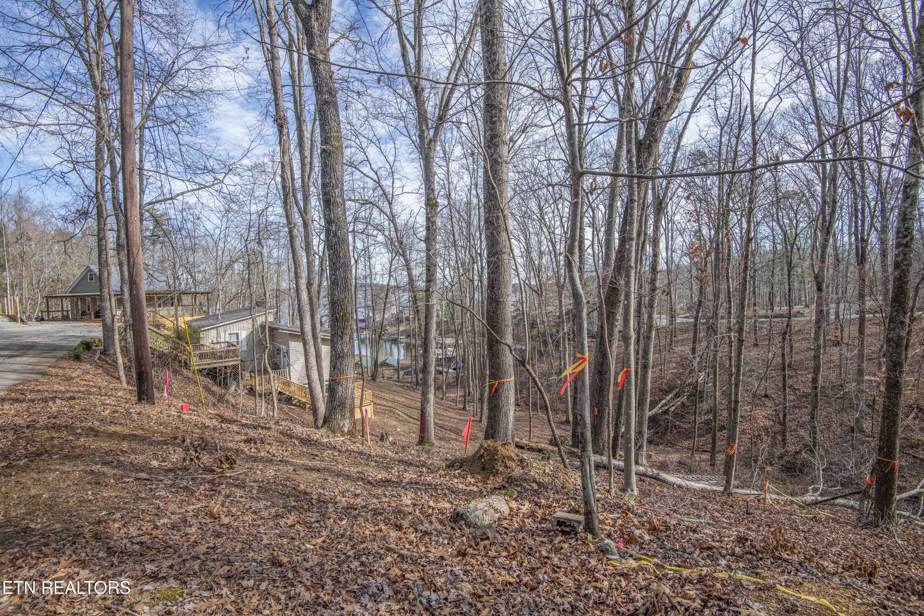 00 Sunset Court Spring City TN 37381