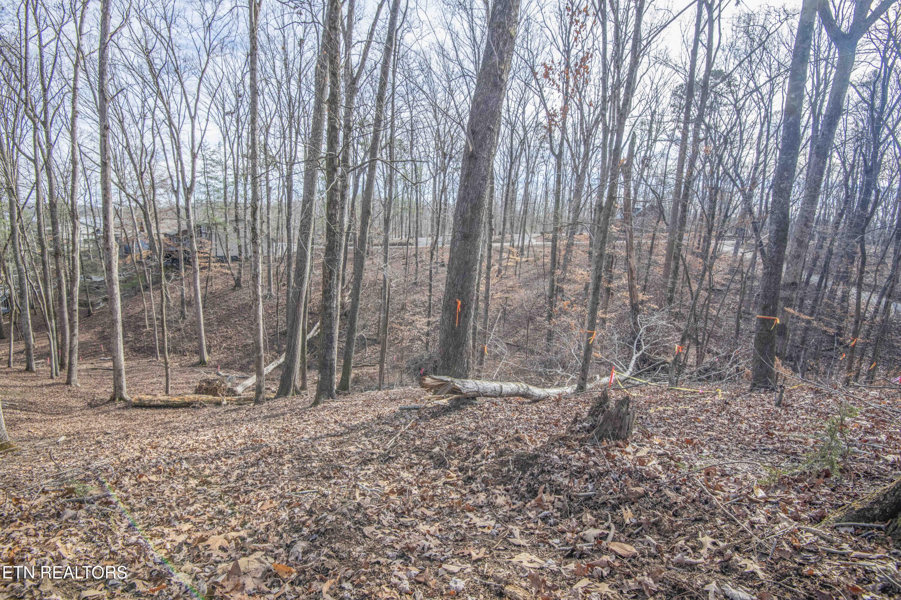 00 Sunset Court Spring City TN 37381