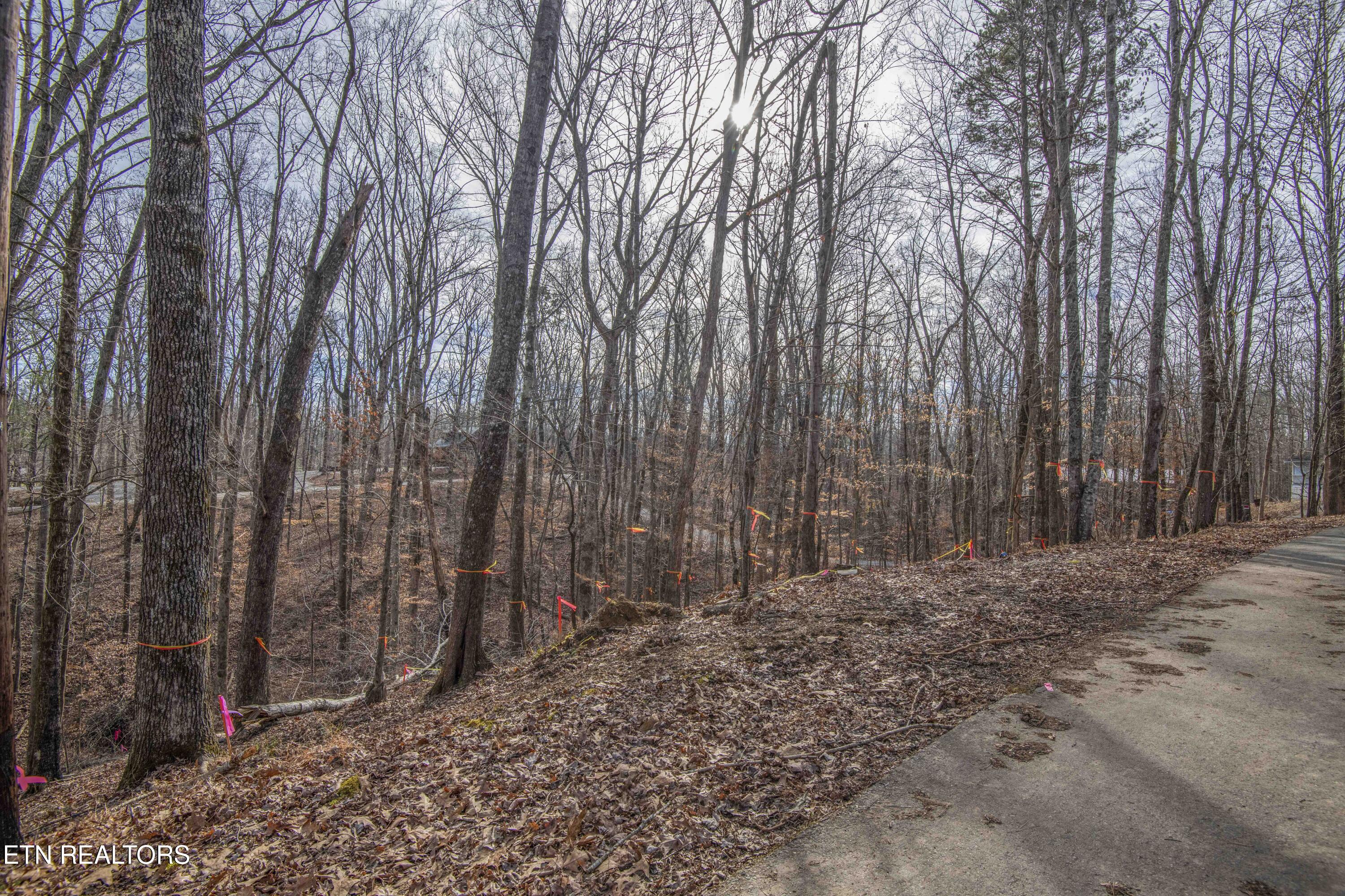 00 Sunset Court Spring City TN 37381