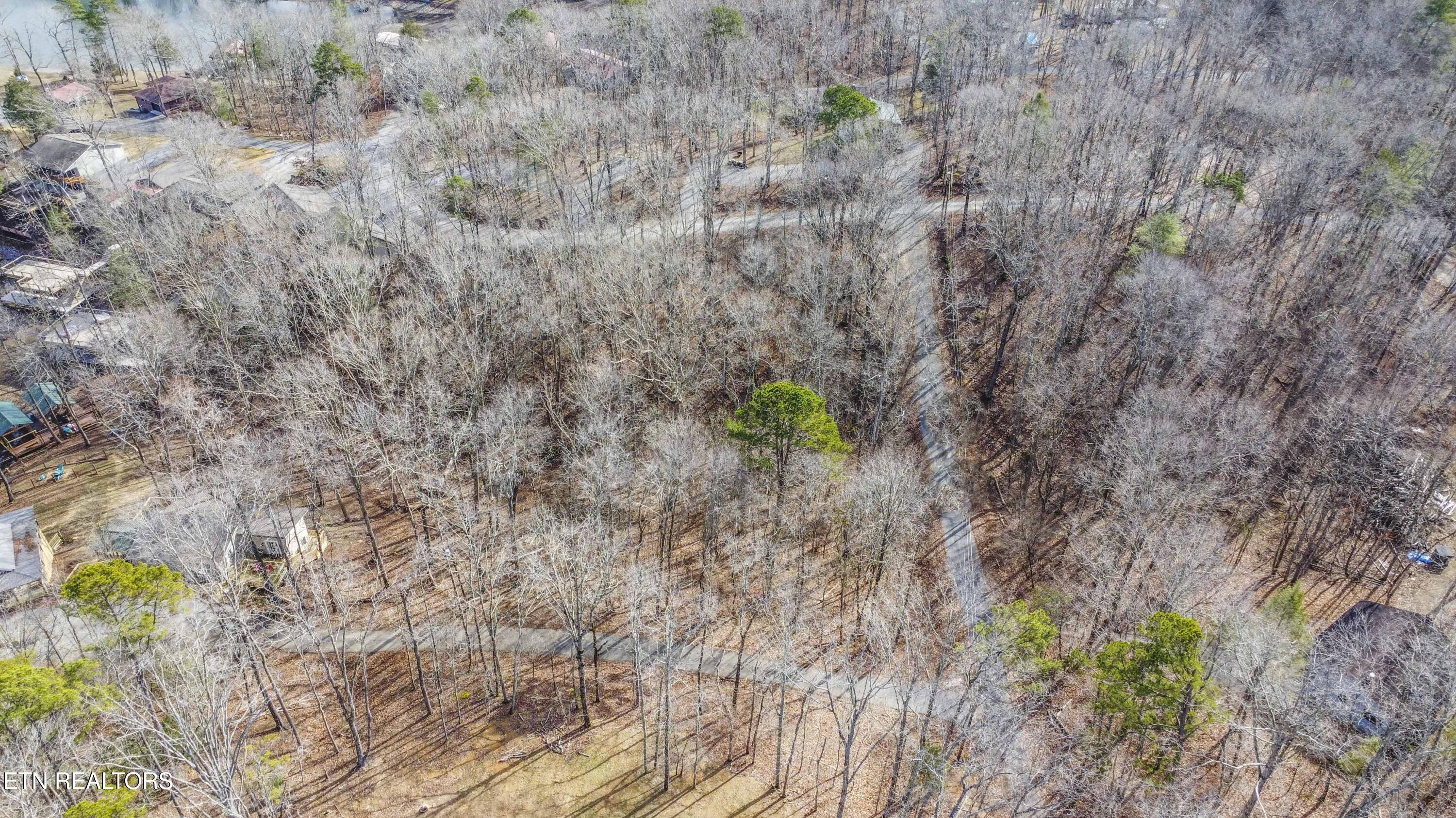 00 Sunset Court Spring City TN 37381
