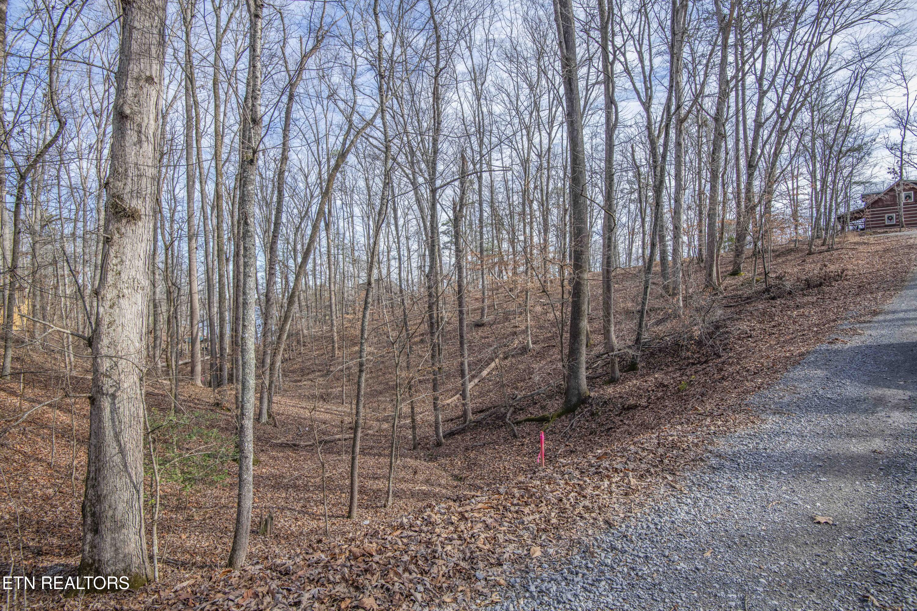 00 Sunset Court Spring City TN 37381