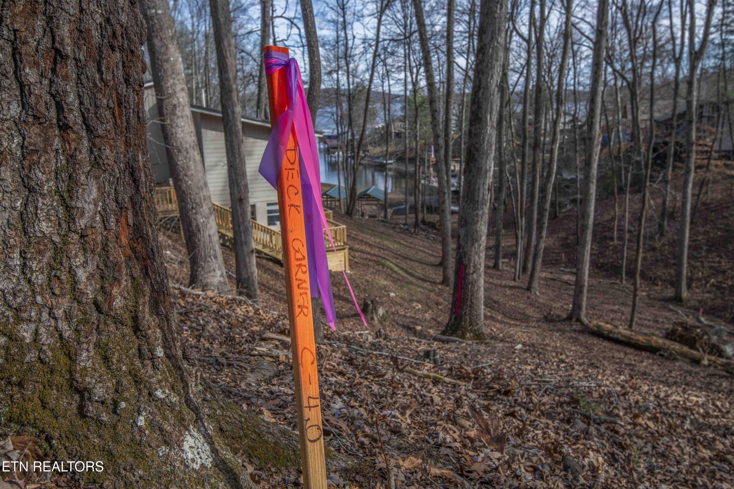 00 Sunset Court Spring City TN 37381