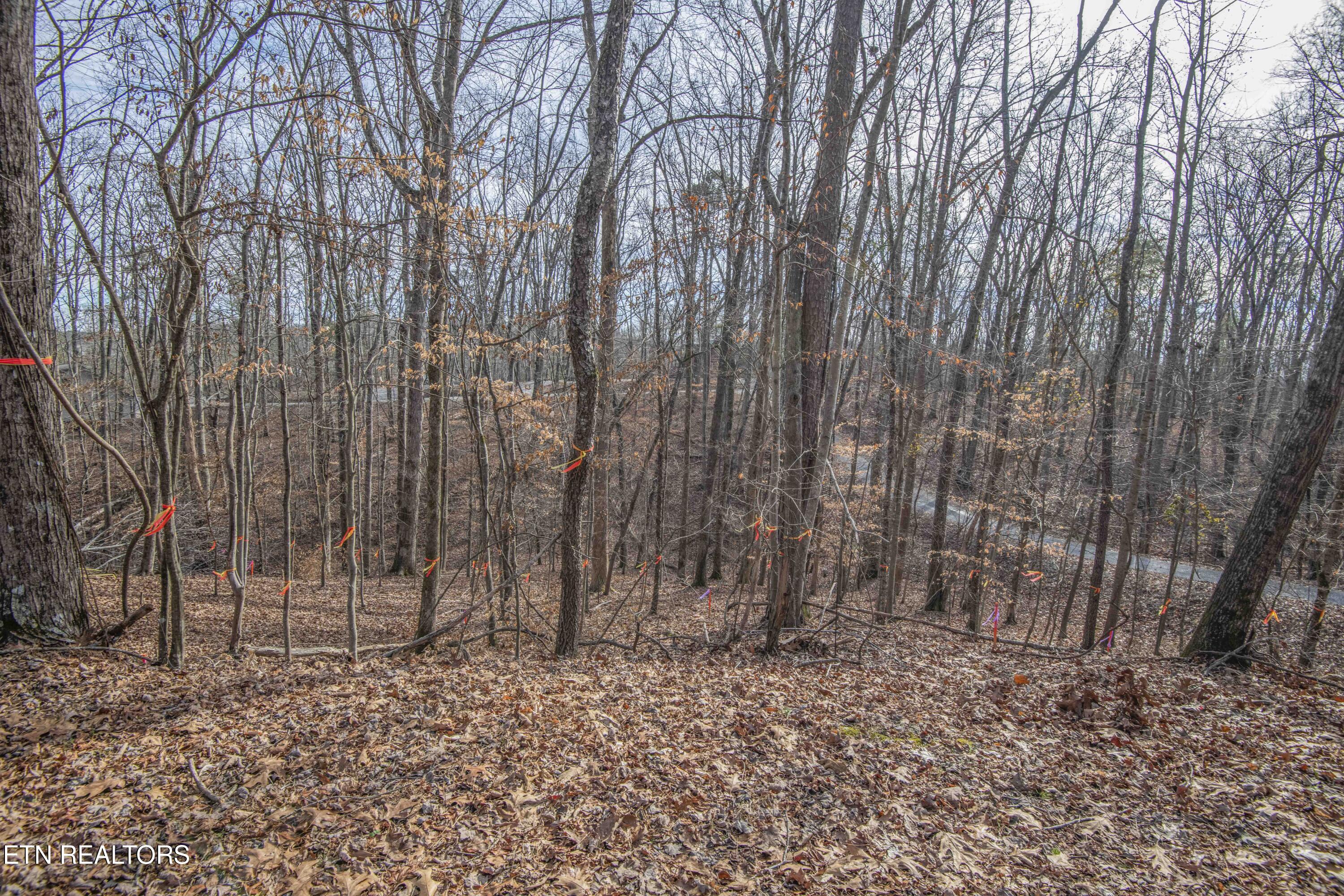 00 Sunset Court Spring City TN 37381