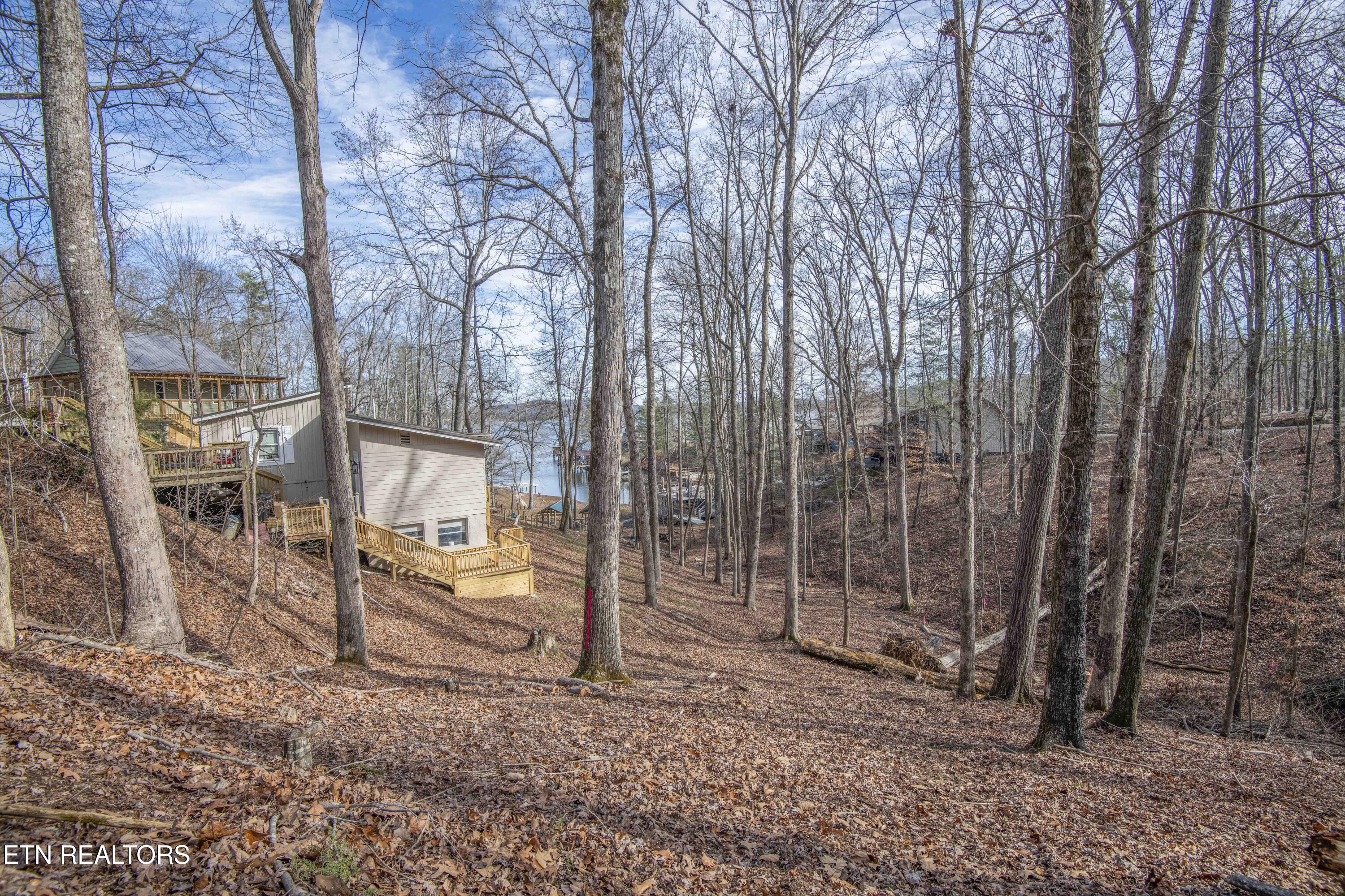 00 Sunset Court Spring City TN 37381