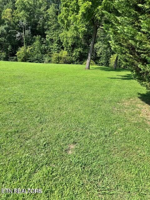 River Bank Road Pigeon Forge TN 37863