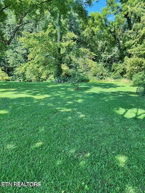 River Bank Road Pigeon Forge TN 37863