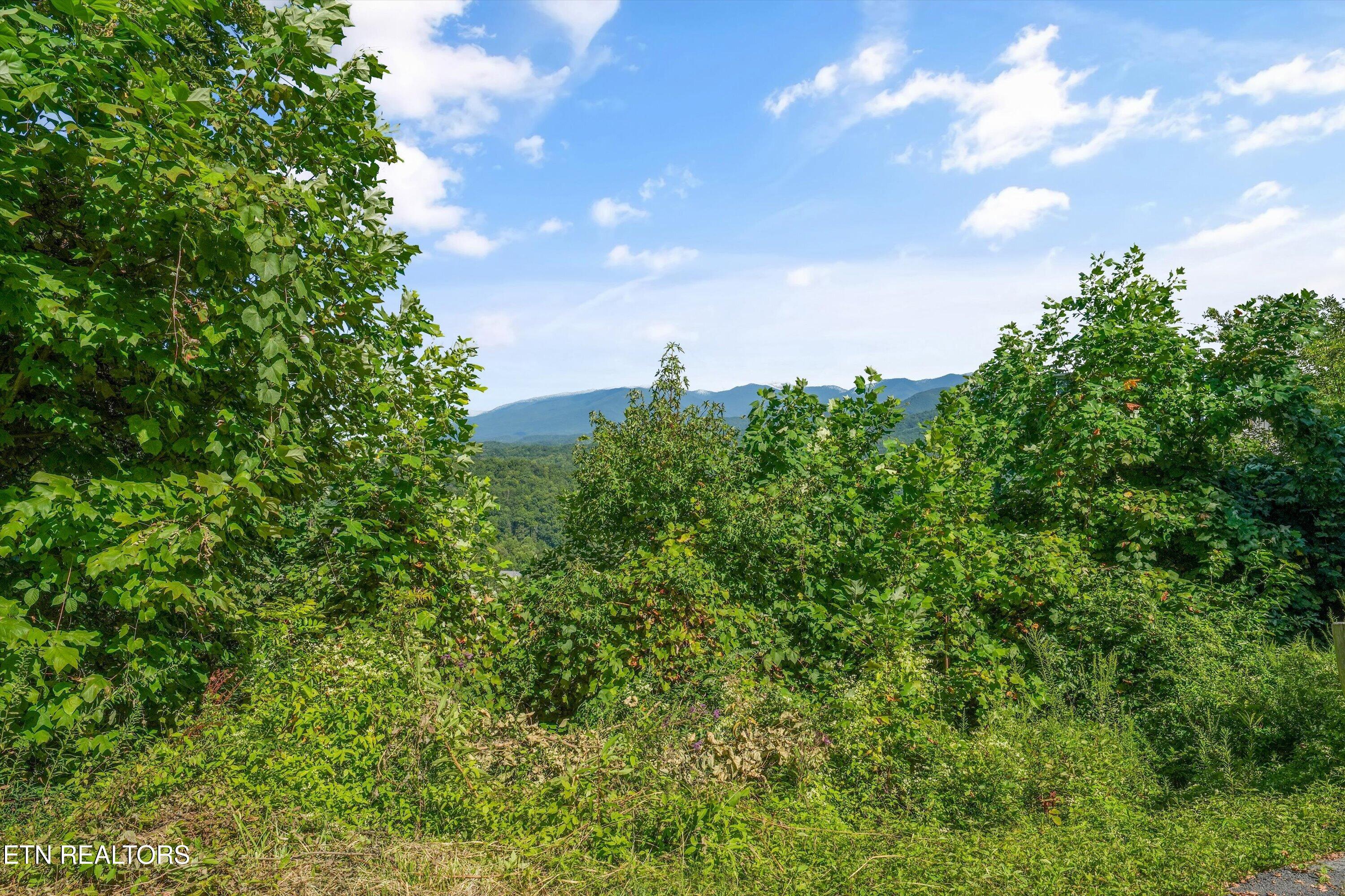 616 Kings Way Gatlinburg TN 37738