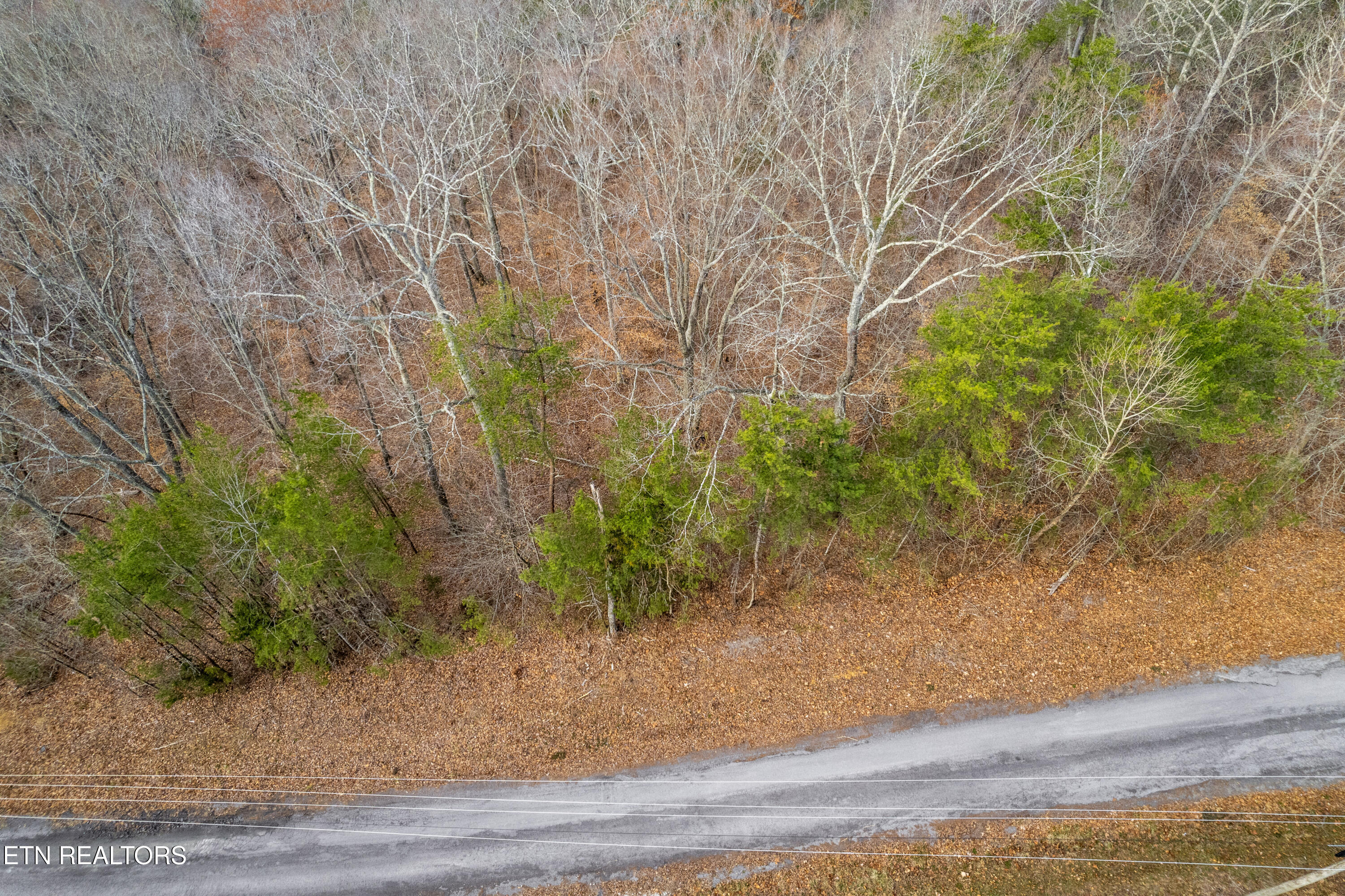 Lot 45 Walleye Point Sharps Chapel TN 37866