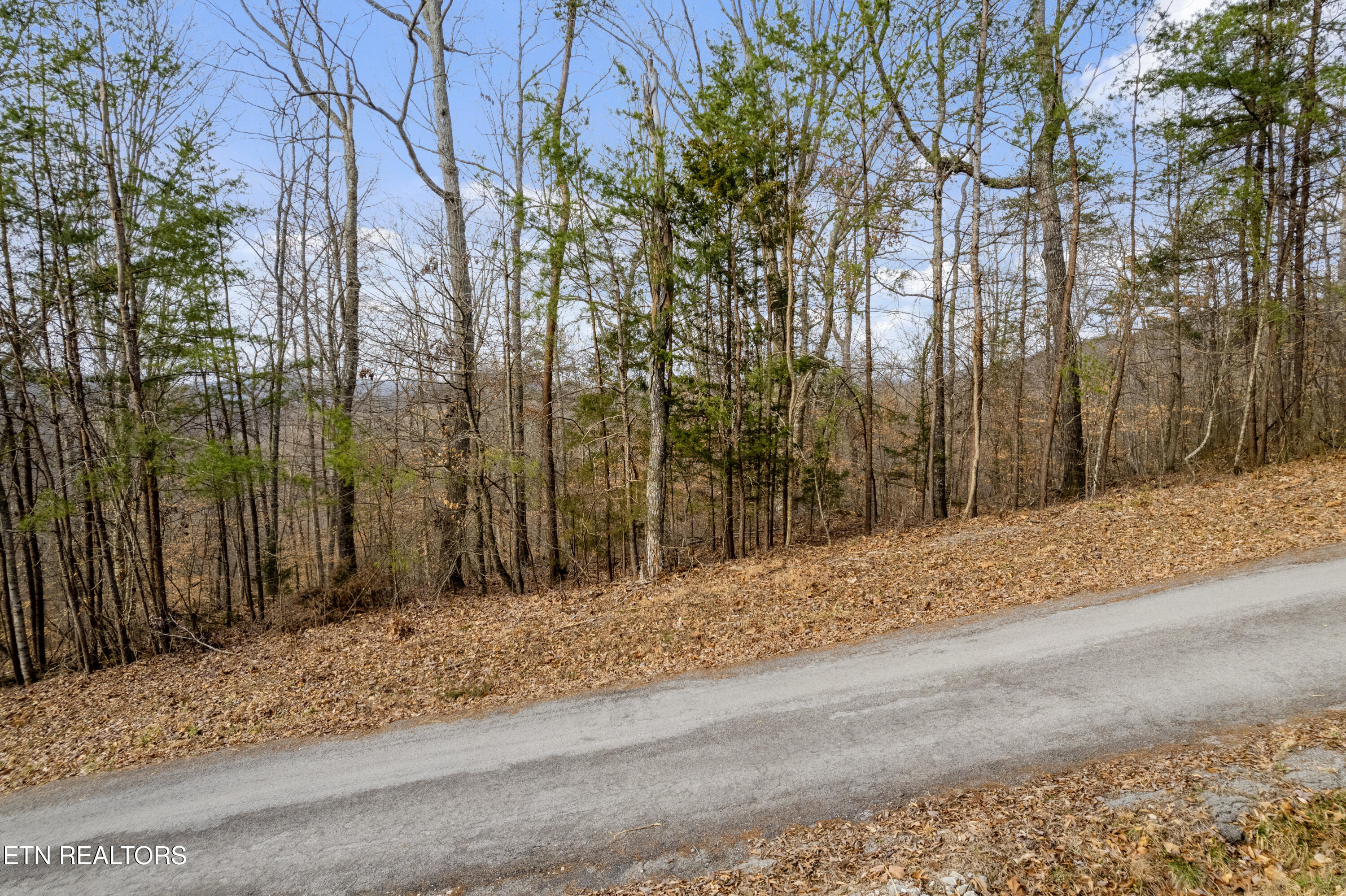 Lot 45 Walleye Point Sharps Chapel TN 37866
