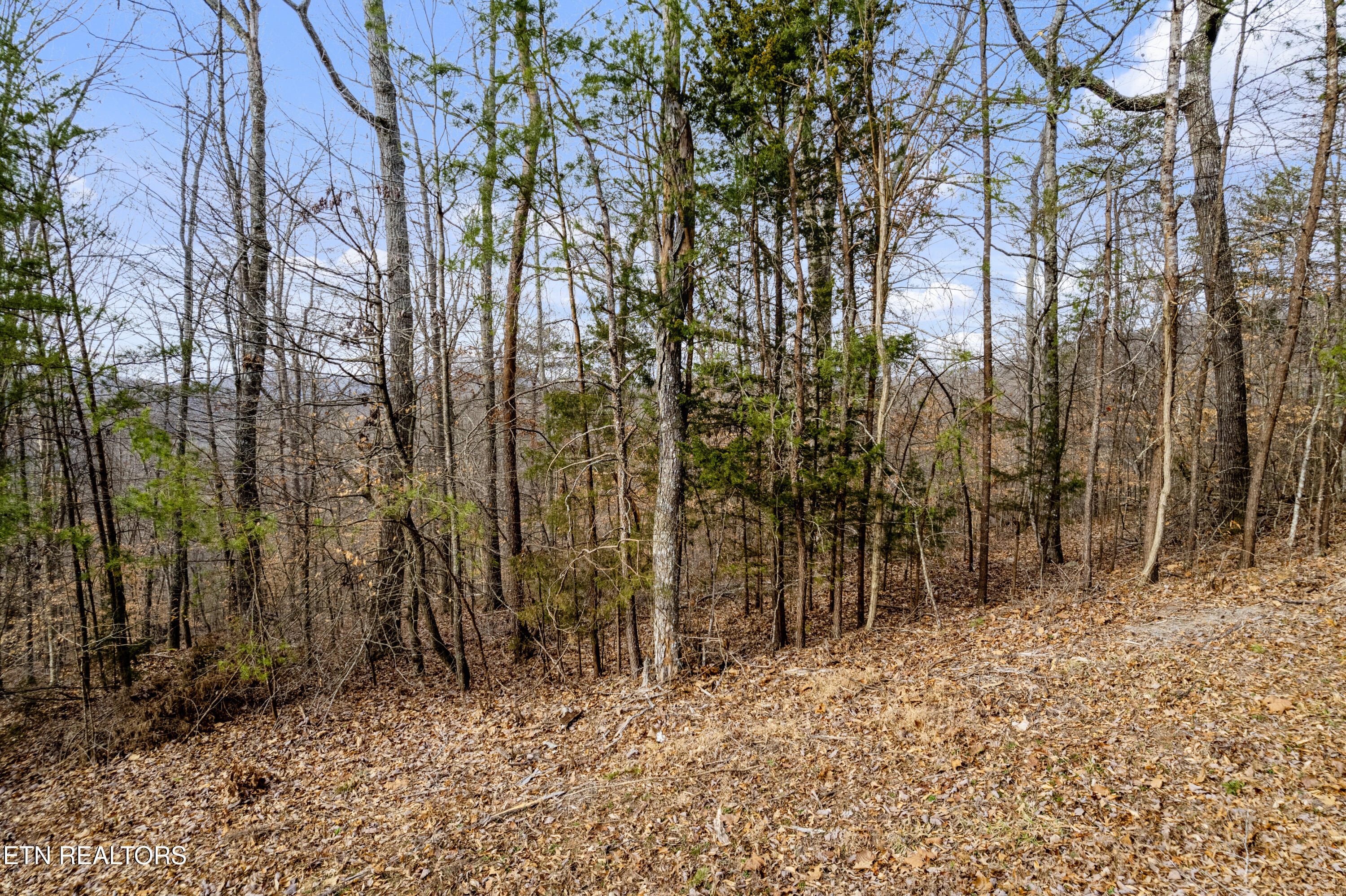 Lot 45 Walleye Point Sharps Chapel TN 37866