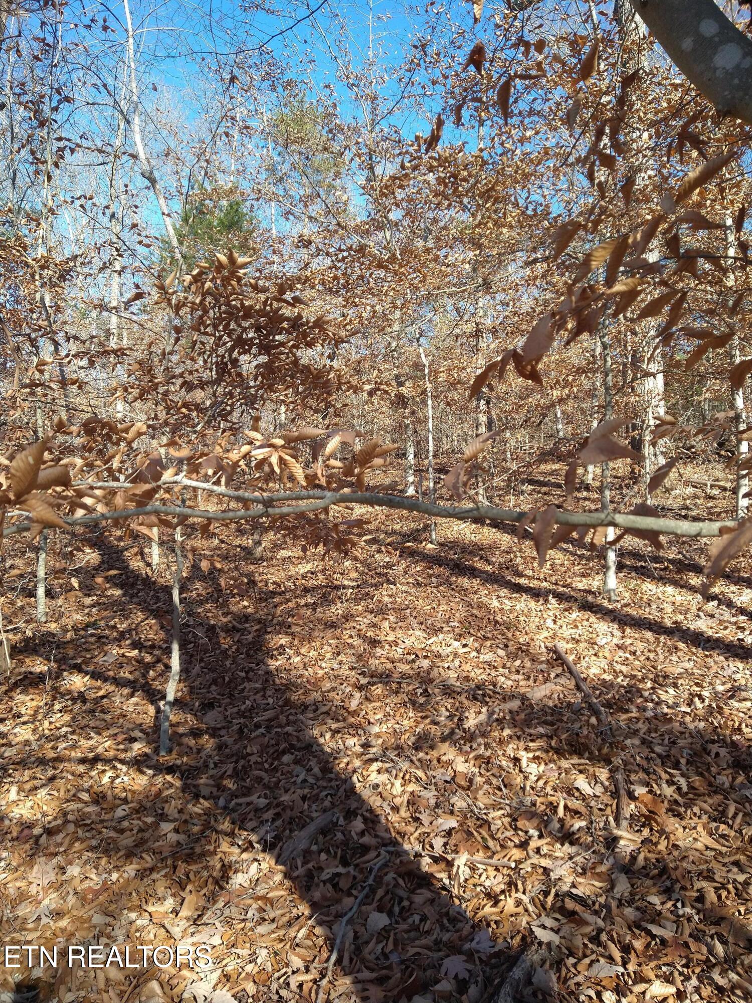 Lot 45 Walleye Point Sharps Chapel TN 37866