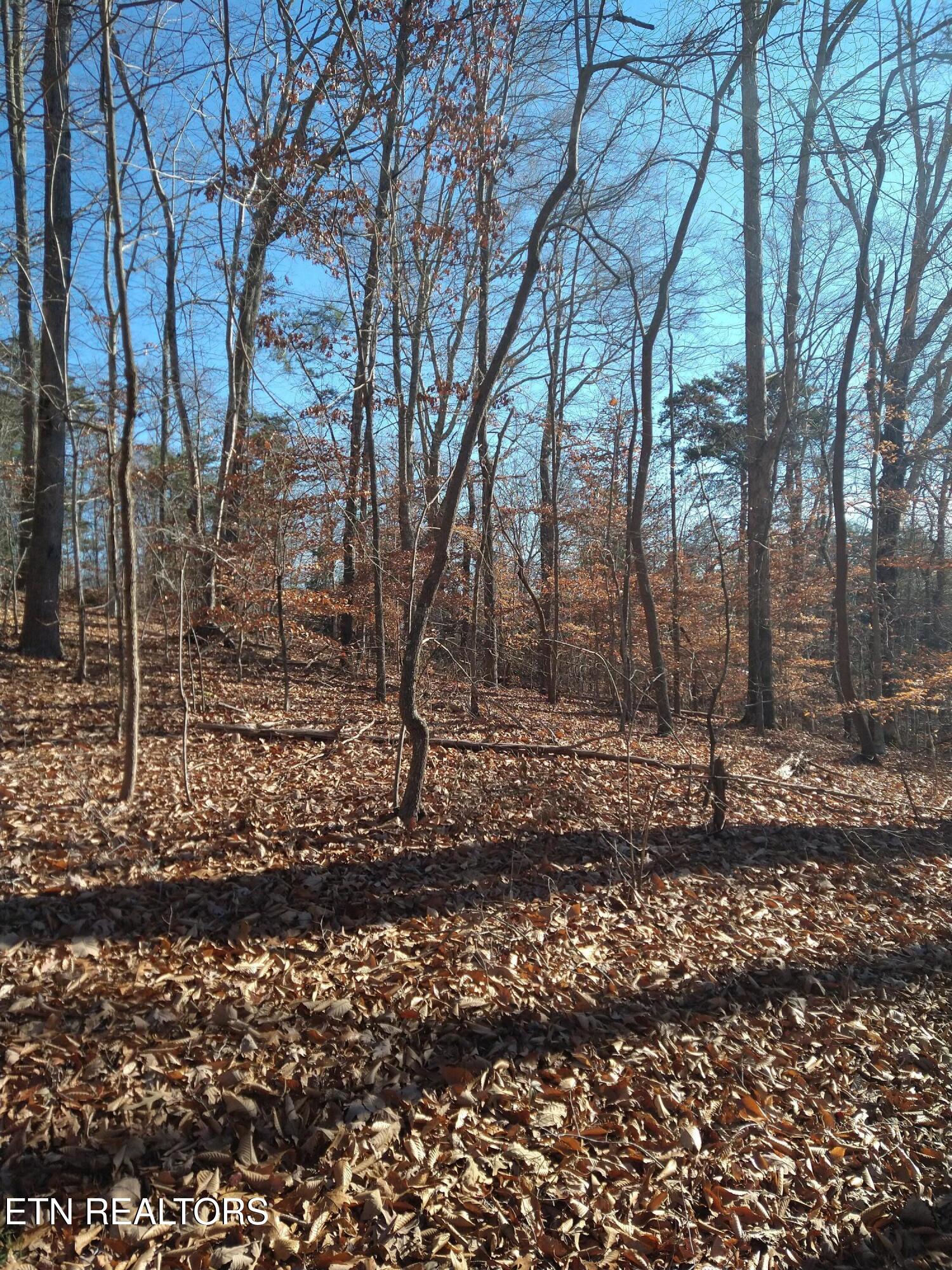 Lot 45 Walleye Point Sharps Chapel TN 37866