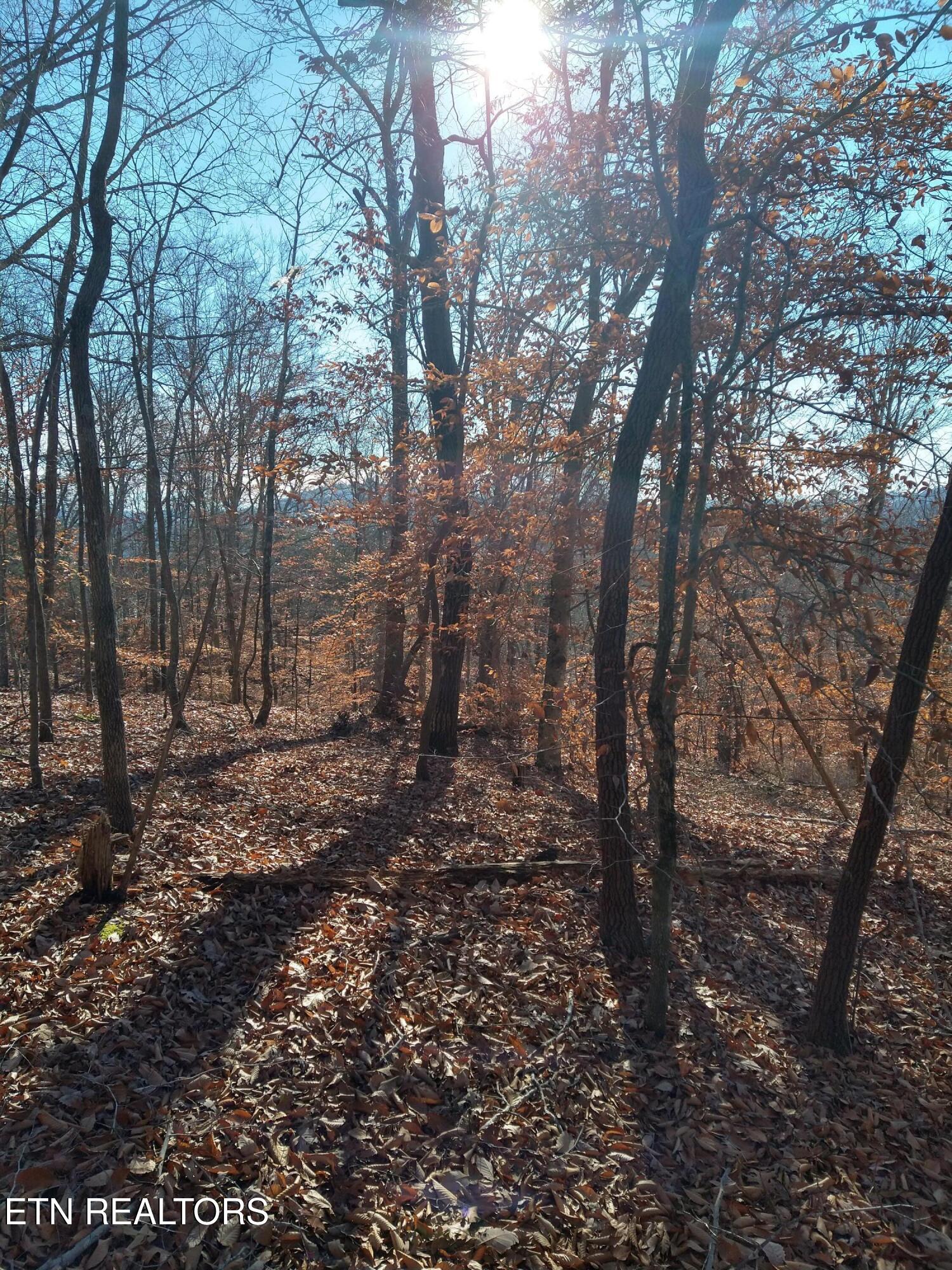 Lot 45 Walleye Point Sharps Chapel TN 37866