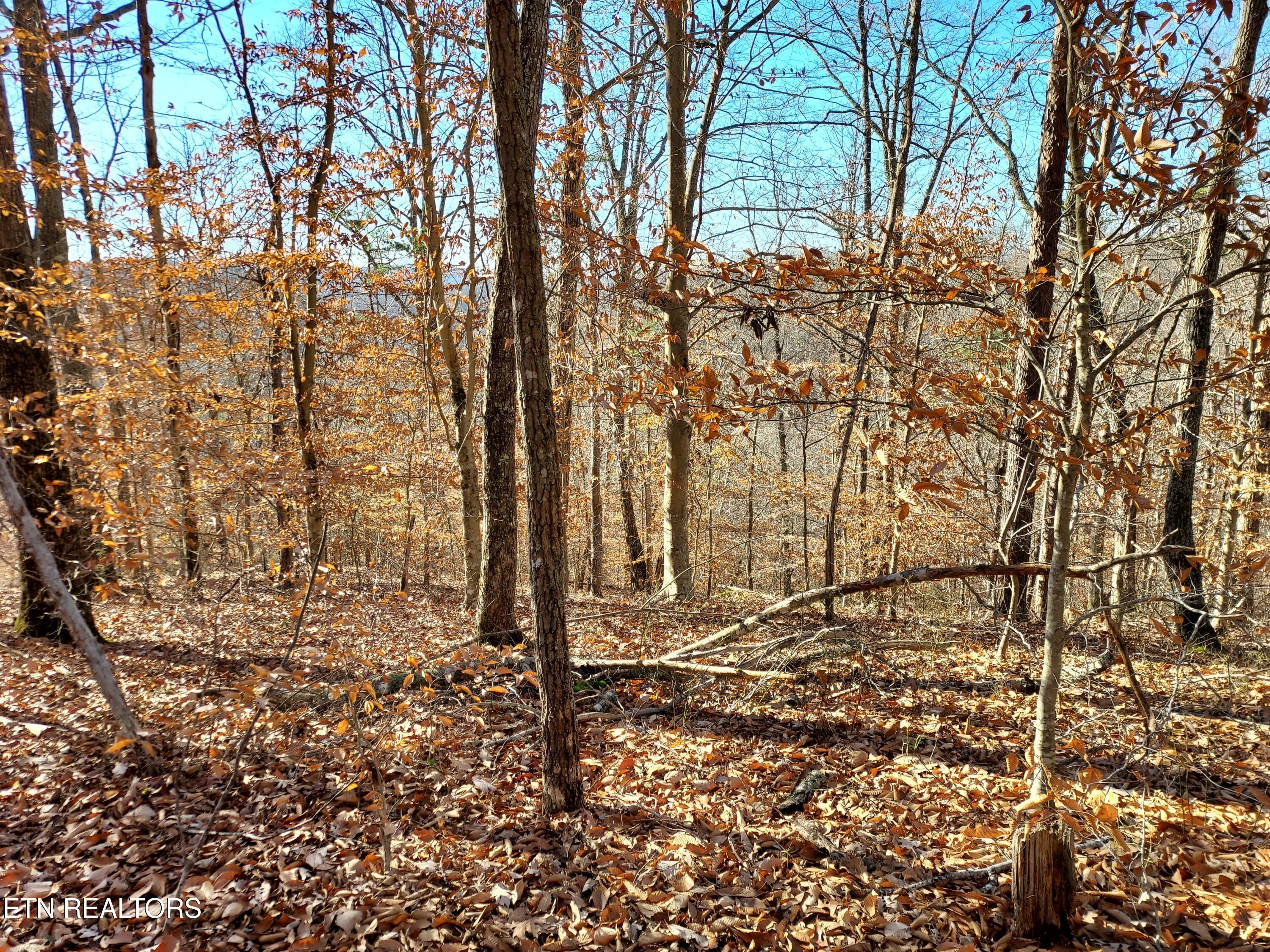 Lot 45 Walleye Point Sharps Chapel TN 37866