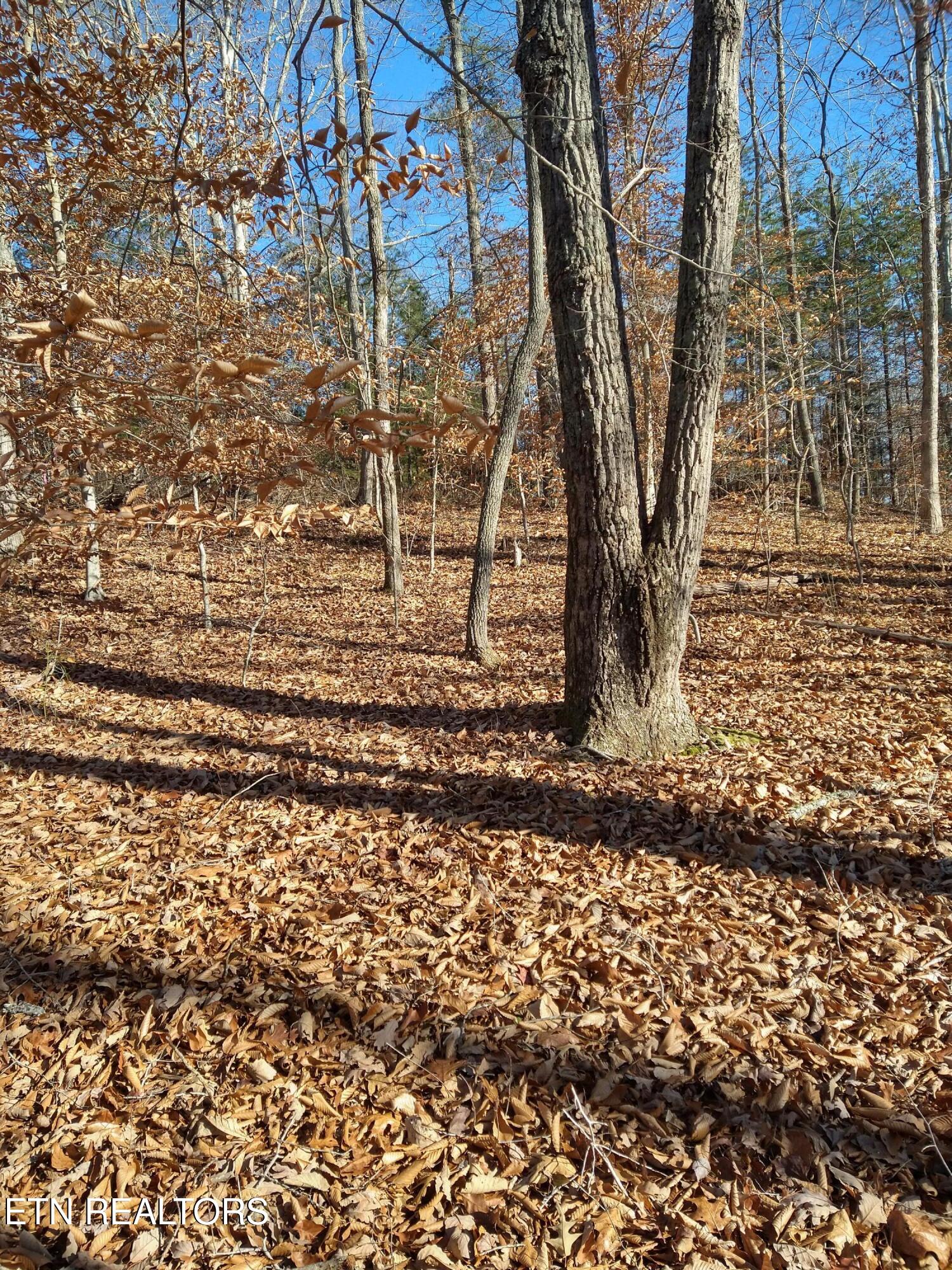 Lot 45 Walleye Point Sharps Chapel TN 37866