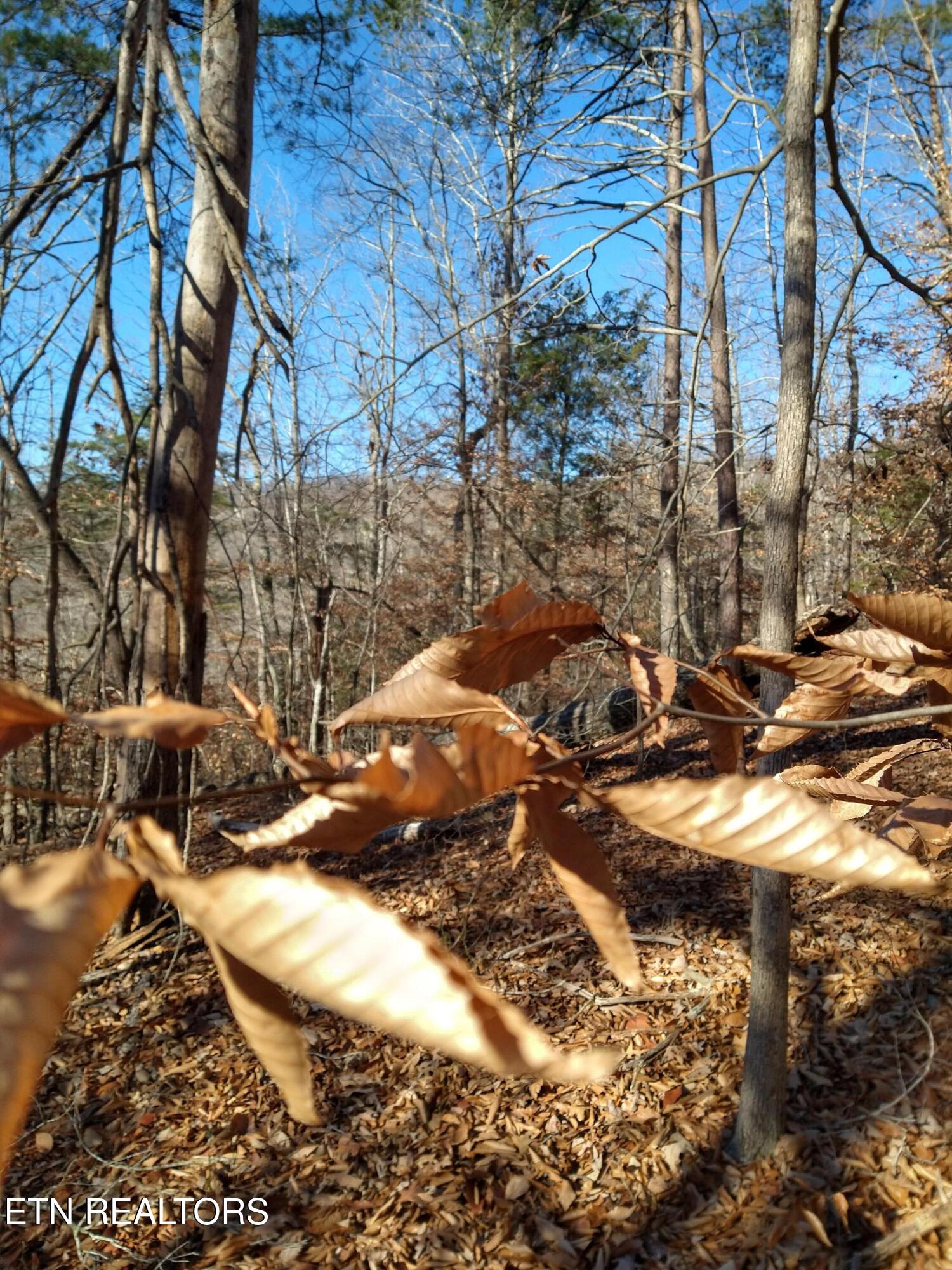 Lot 45 Walleye Point Sharps Chapel TN 37866